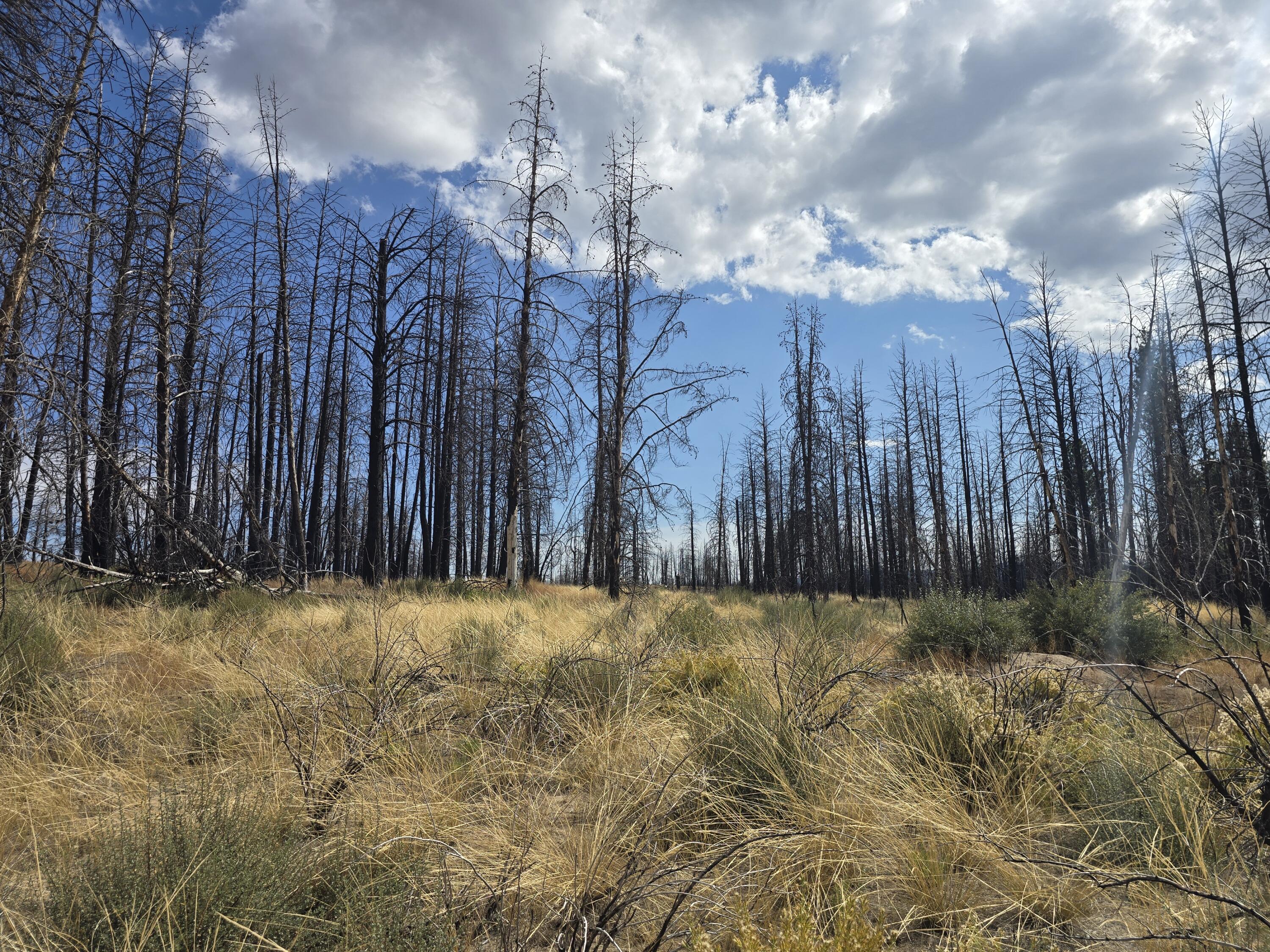 Klamath Falls Forest Estates -Sycan Unit - Land