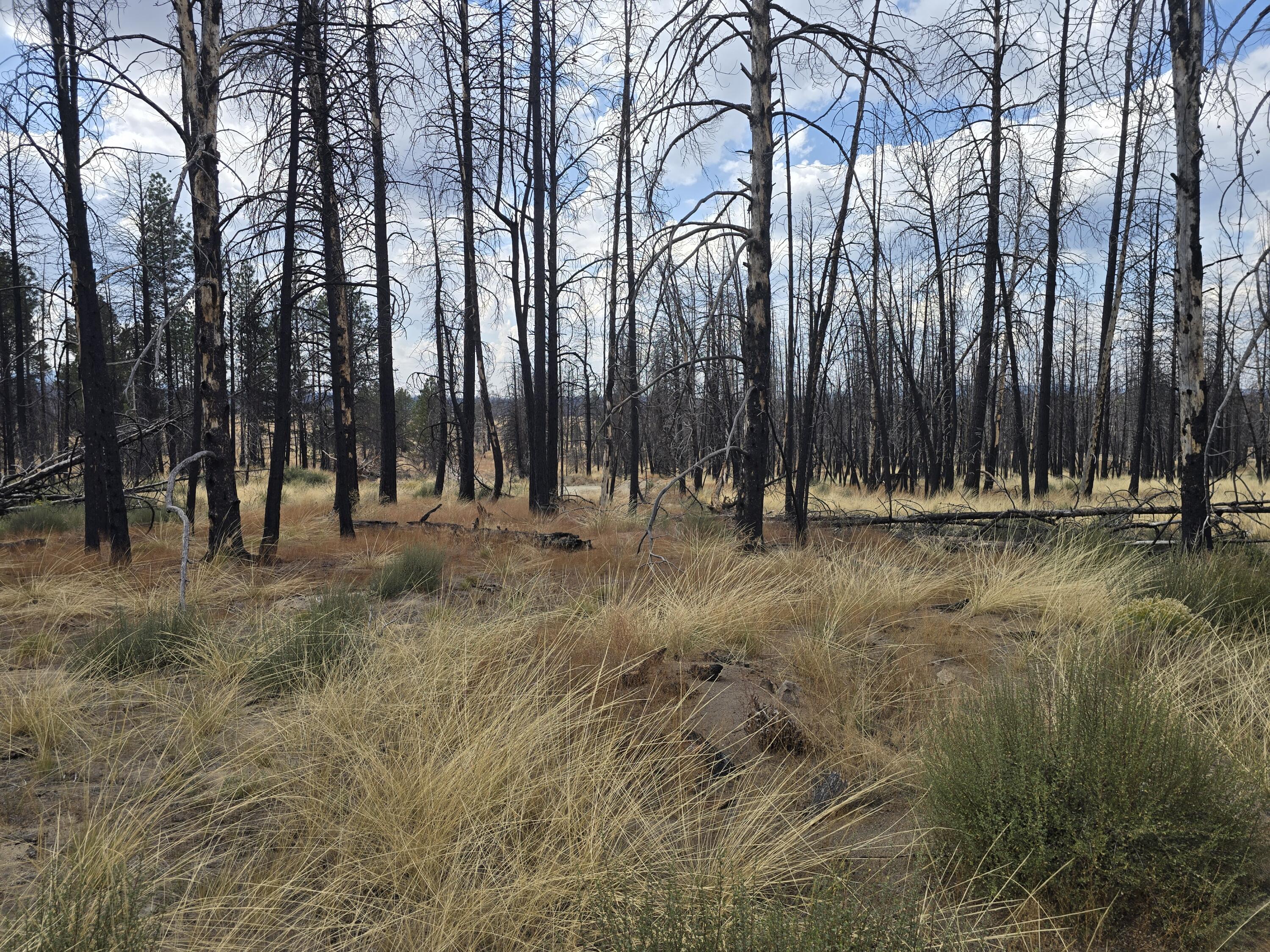 Klamath Falls Forest Estates -Sycan Unit - Land