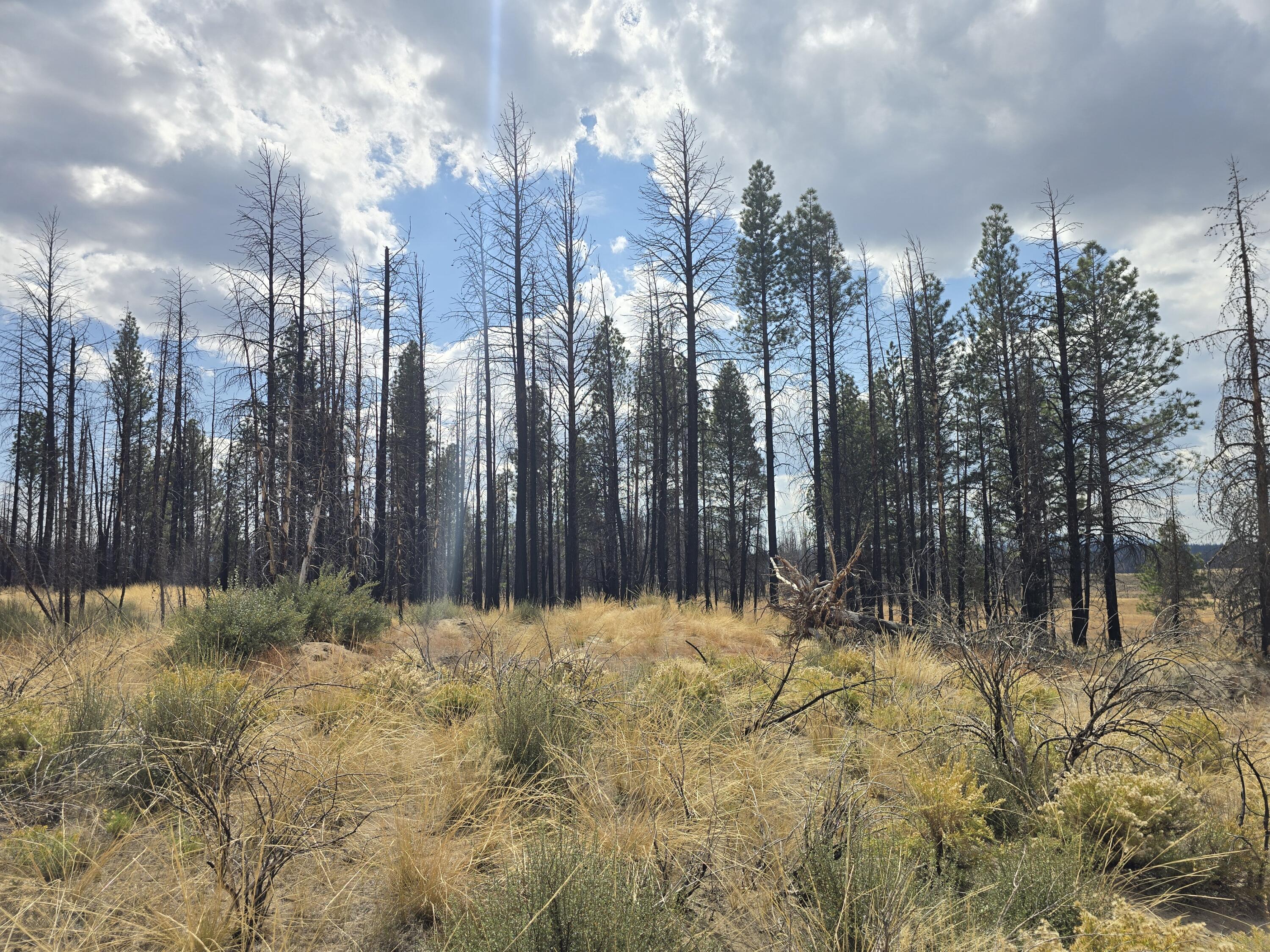 Klamath Falls Forest Estates -Sycan Unit - Land