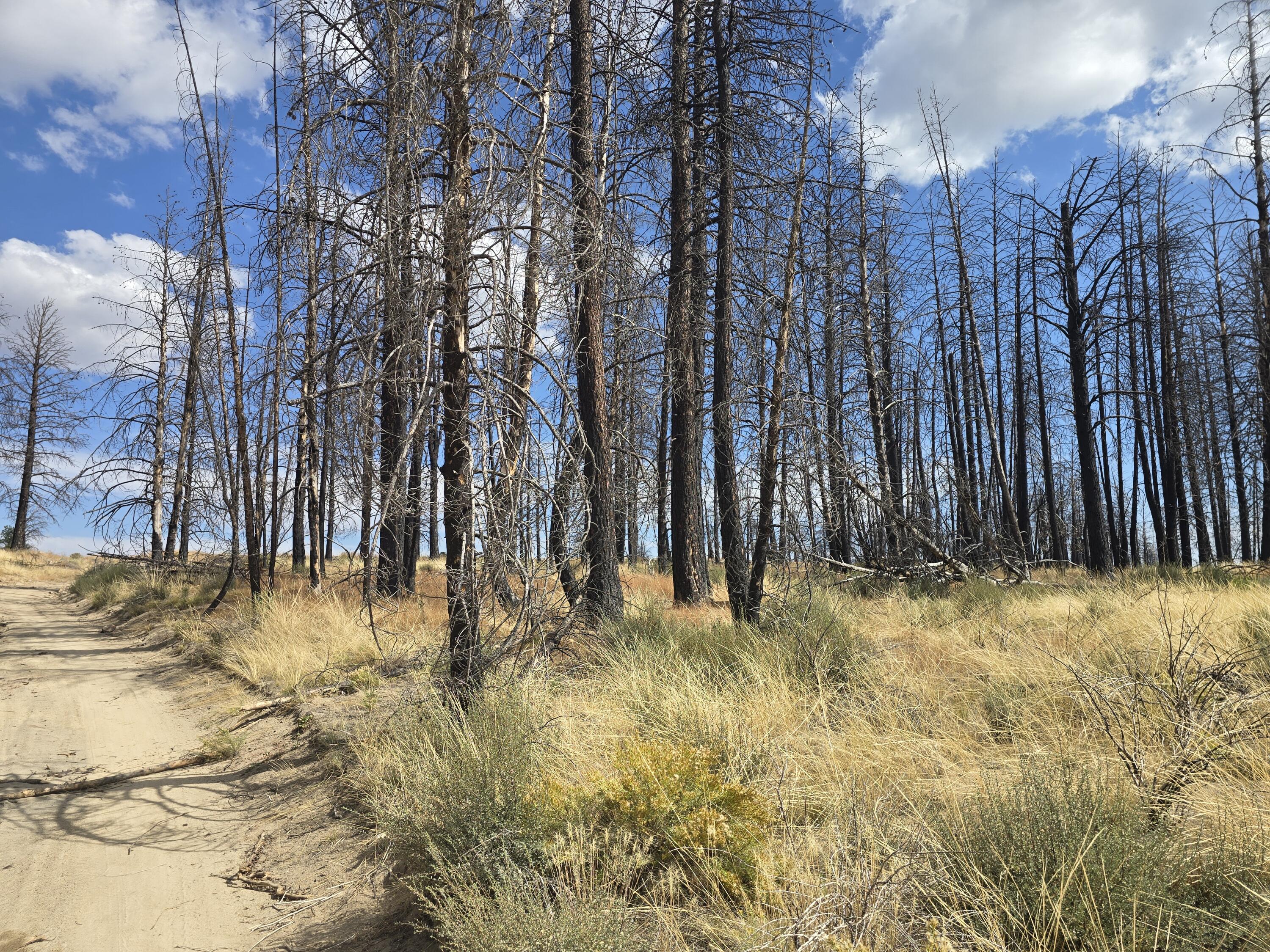 Klamath Falls Forest Estates -Sycan Unit - Land