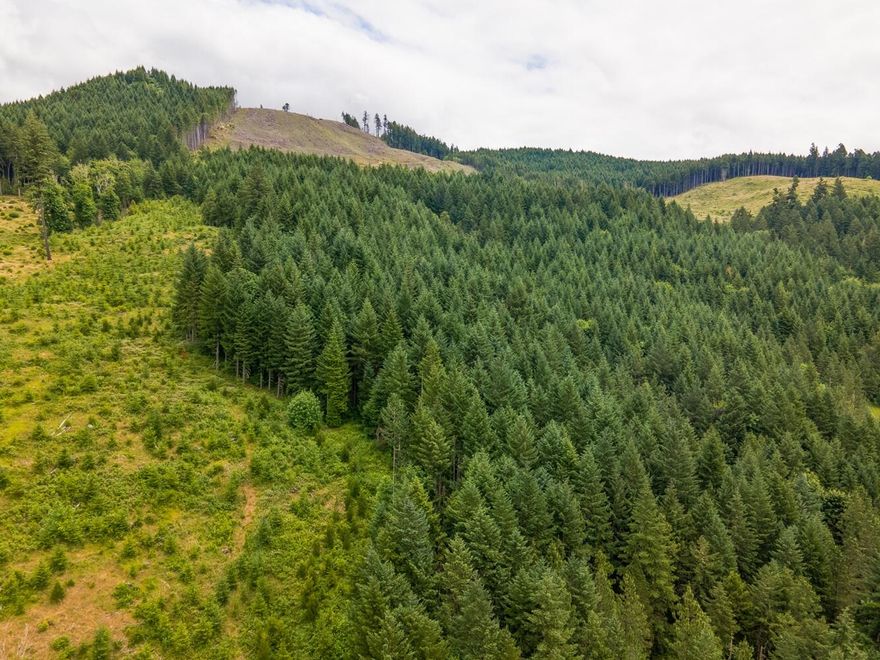 Just a half-mile from Dorena Lake, this ±192-acre timberland property in Lane County offers natural beauty, privacy, and endless recreation. With frontage on Rat Creek Road, the land features a mix of freshly replanted seedlings, young growth, and pockets of mature timber. The varied landscape, classic of western Oregon, is perfect for outdoor enthusiasts, weekend adventurers, or those seeking a secluded homesite. Wildlife is abundant—deer, elk, and a variety of birds and critters roam the property, making it great for hunting, photography, or quiet observation. Sweeping territorial views from high points on the property. Dorena Lake is minutes away for fishing, boating, and lakeside recreation, and the surrounding area includes scenic trails, waterfalls, and public lands. Whether you're looking for a peaceful retreat or a recreational basecamp, this property delivers space, beauty, and potential. Buyer to perform all due diligence with regard to allowable uses of the property.