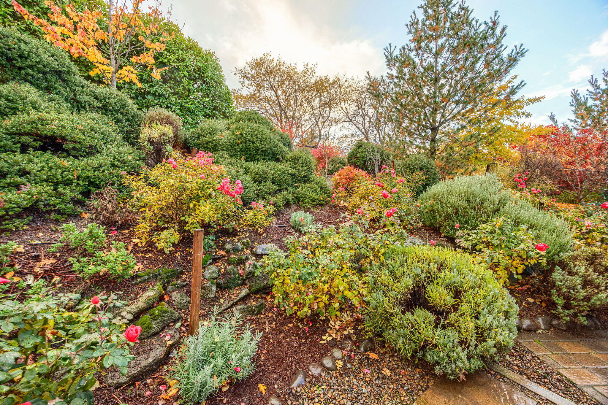 Royal Oaks Estates Subdivision - Residential