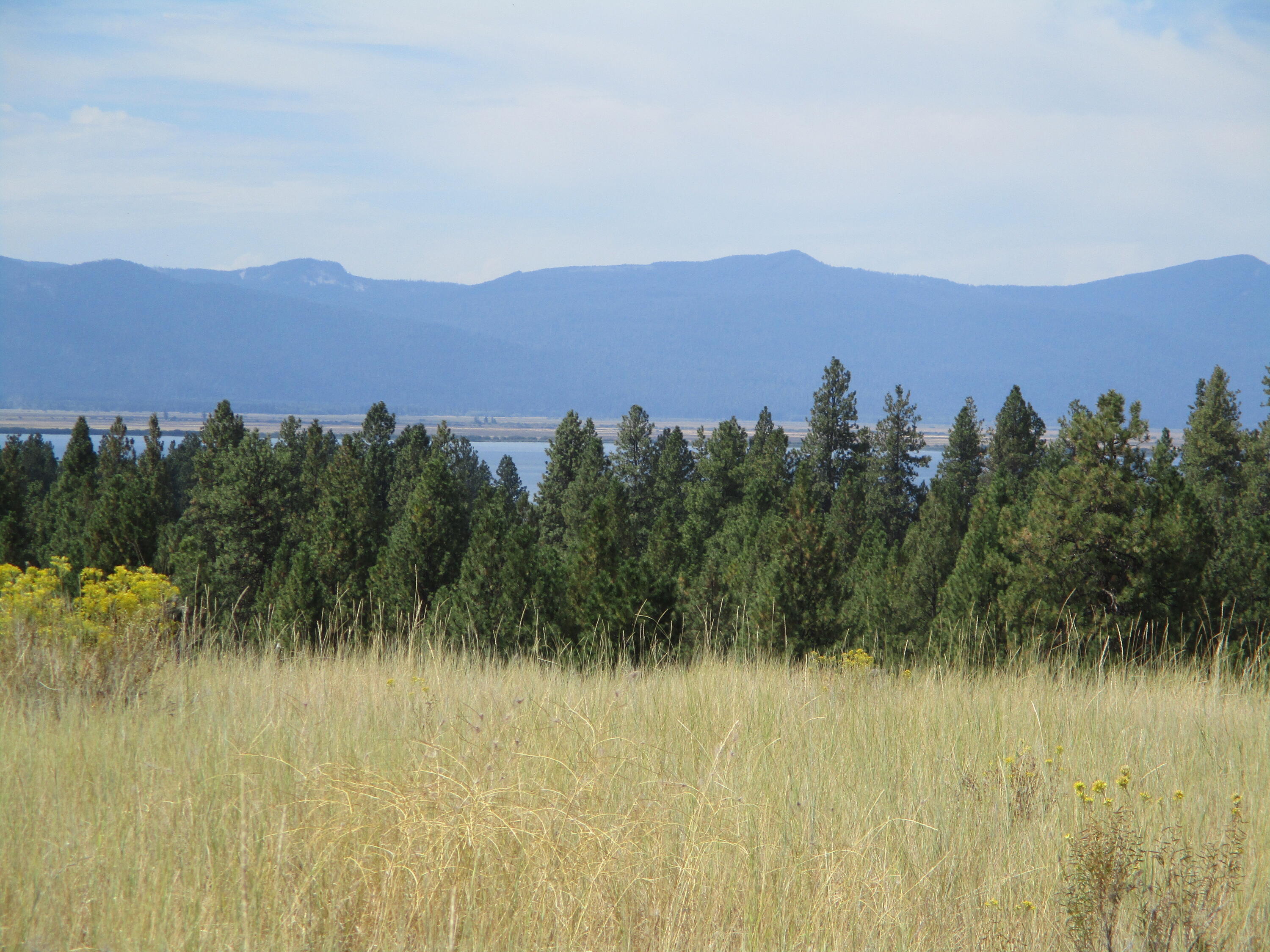 Oregon Shores -Unit 2-First Addition - Land