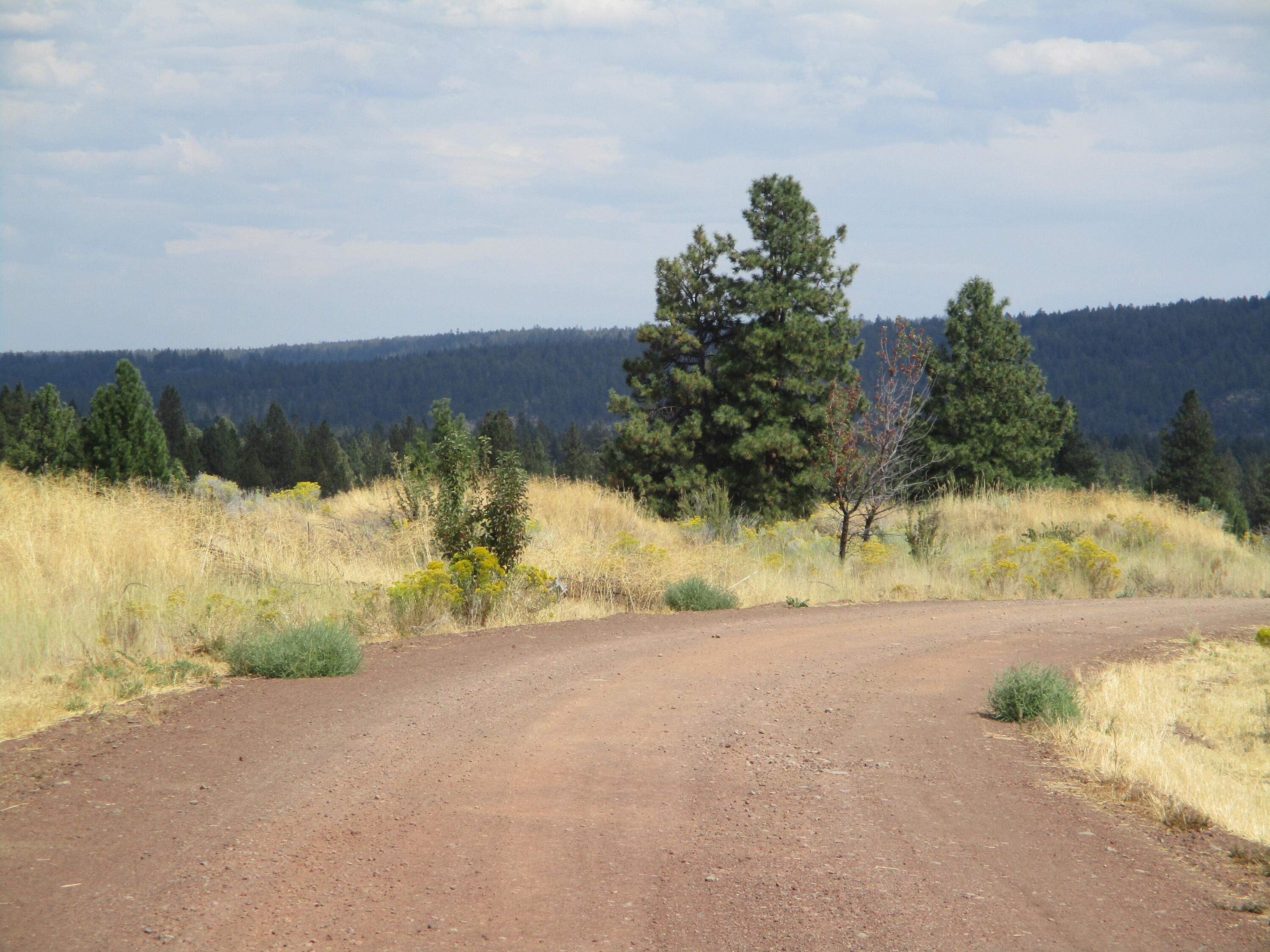 Oregon Shores -Unit 2-First Addition - Land