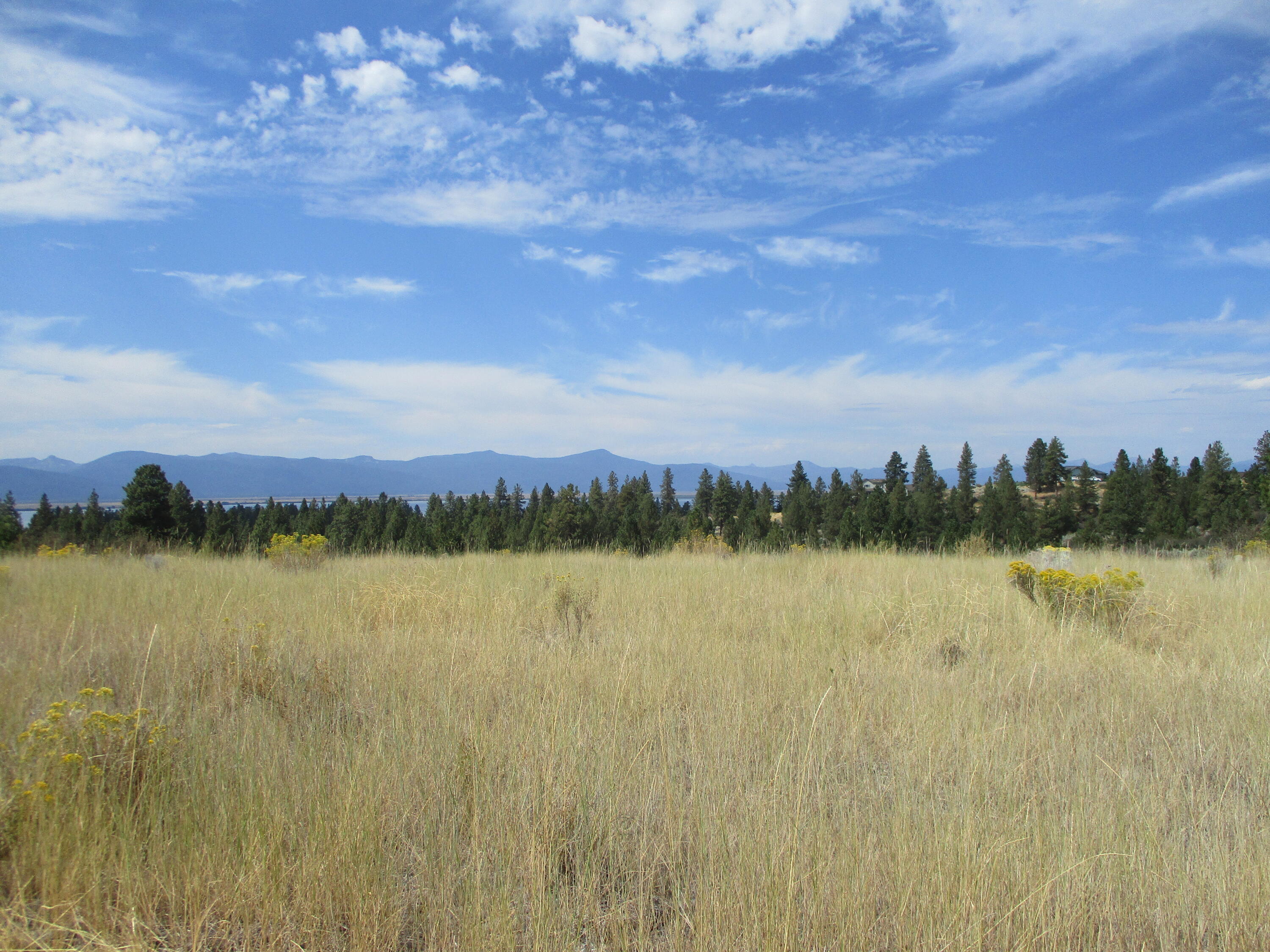 Oregon Shores -Unit 2-First Addition - Land