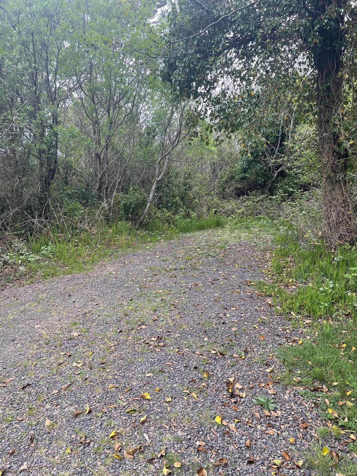 N/A - Commercial Sale