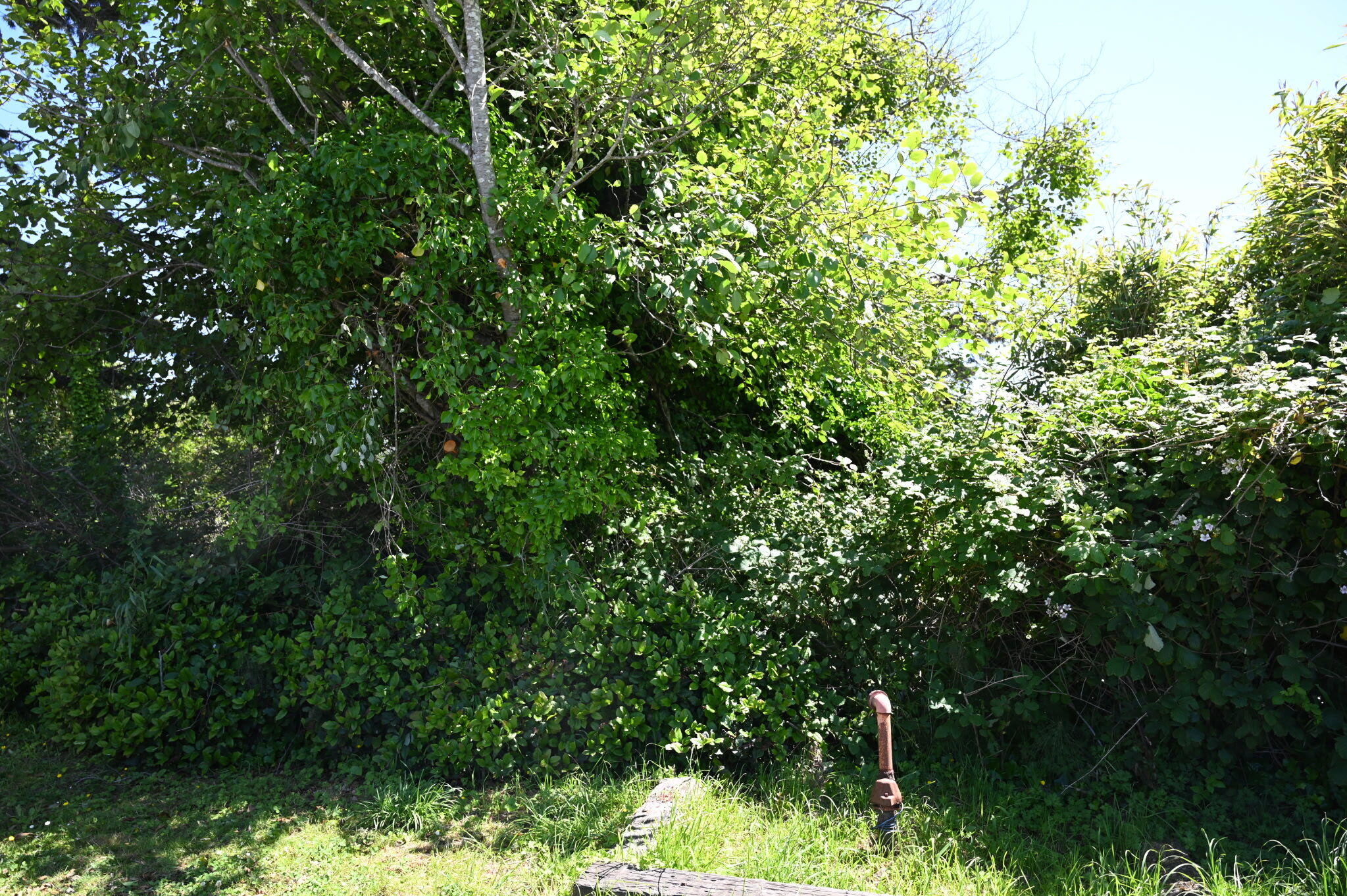 N/A - Commercial Sale