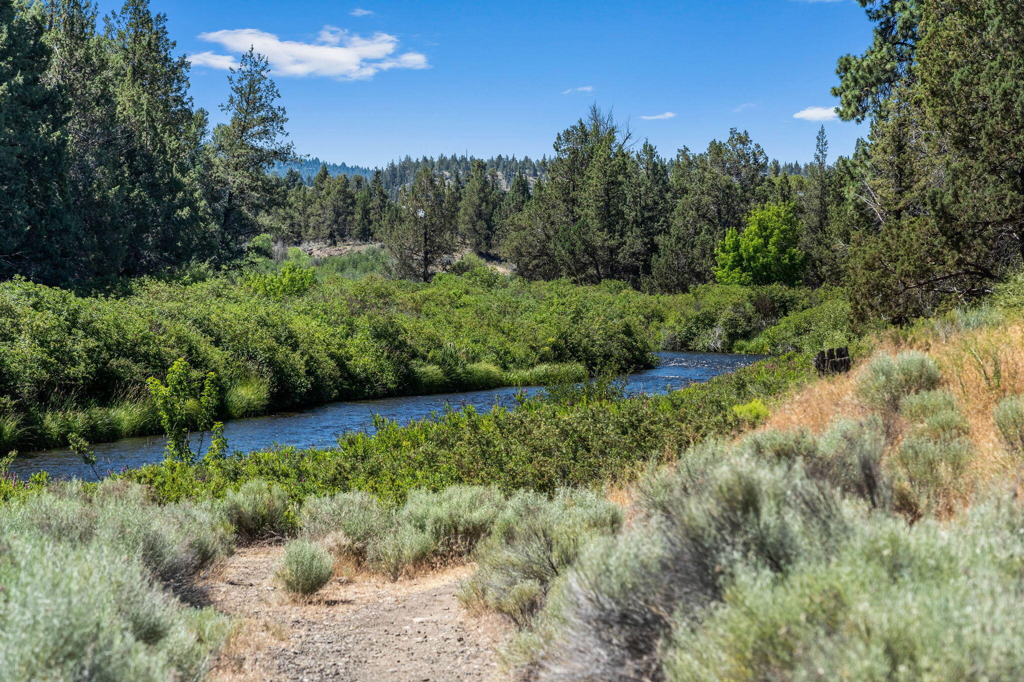 Townsite Of Laidlaw - Residential