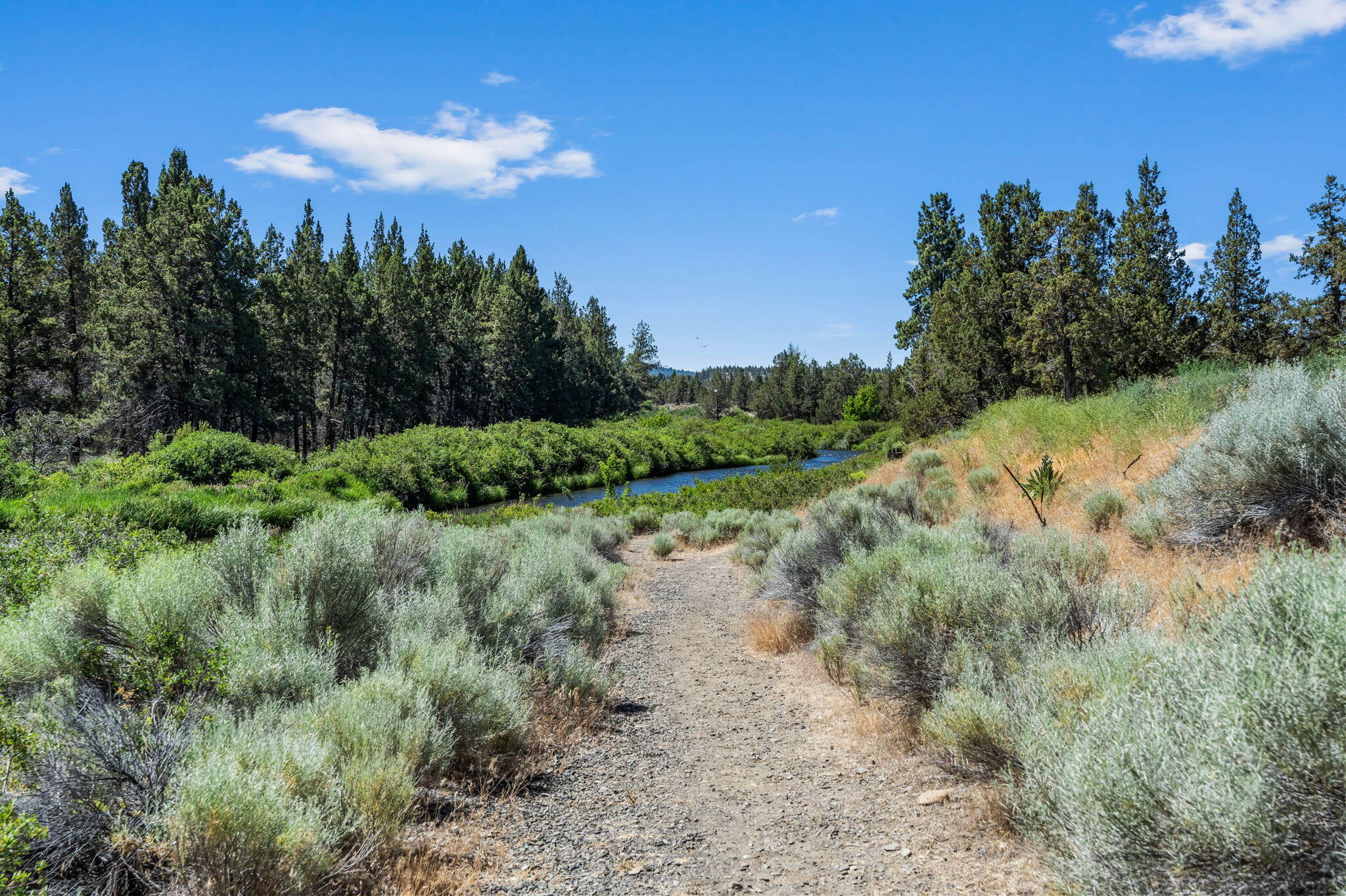 Townsite Of Laidlaw - Residential
