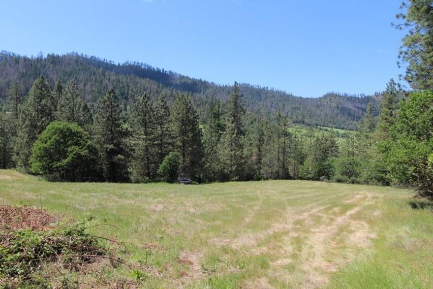 Great opportunity to develop your own land in the Applegate. RR-5 zoned, 5.16 acres of mostly level pasture land with great mountain views. May have irrigation rights, buyer to do their own due diligence as to the potential uses of this property. Only to be sold with or after 2861 Thompson Creek has been sold. Can be purchased with 2861 Thompson Creek Rd. See listing detail on the MLS. Seller has been paying annual water right fee with Thompson Creek irrigation district. Seller is doing a 1031 Tax deferred exchange.