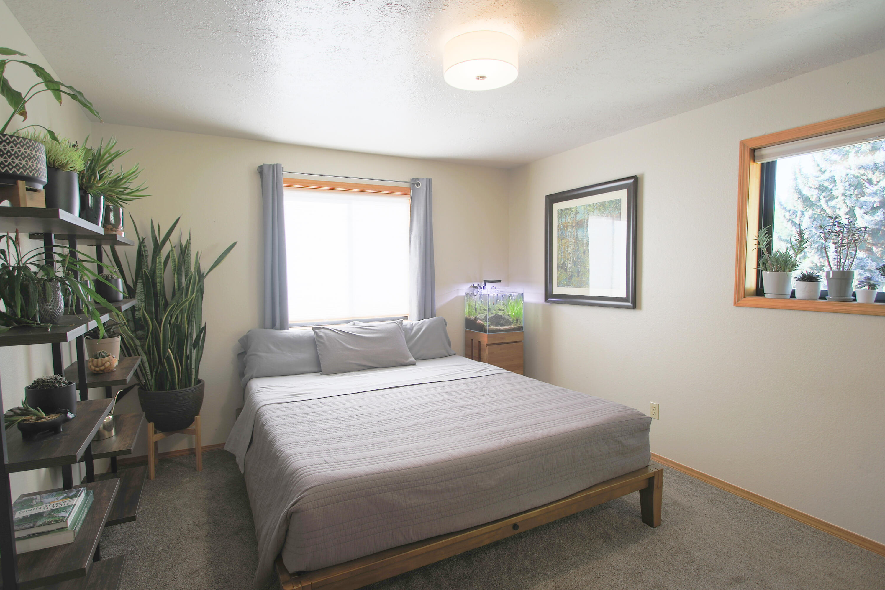 Williamson Park - Residential