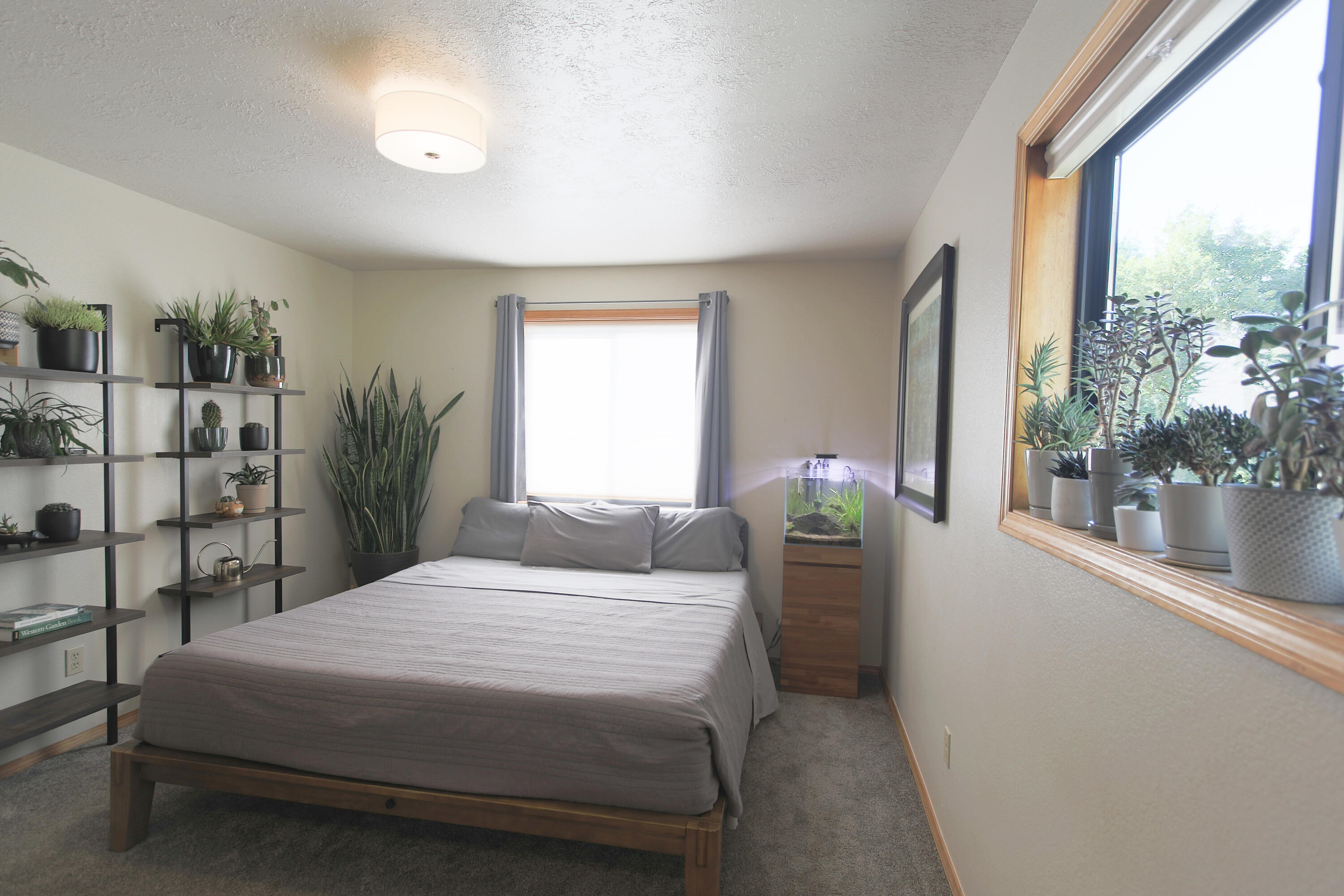 Williamson Park - Residential