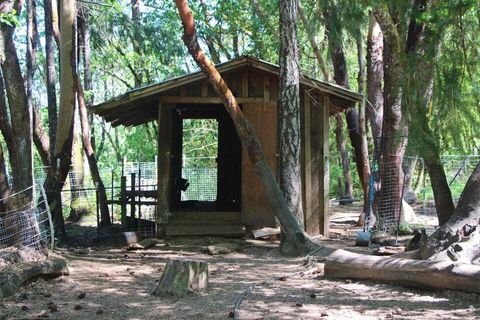 Tiny photo for 101 Cascade Drive, Cave Junction, OR 97523 (MLS # 220217835)