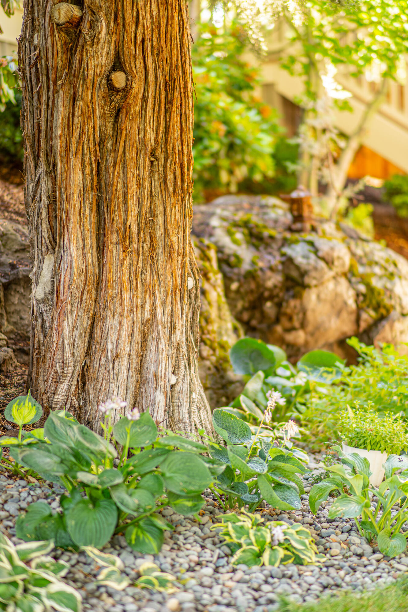 Awbrey Village - Residential