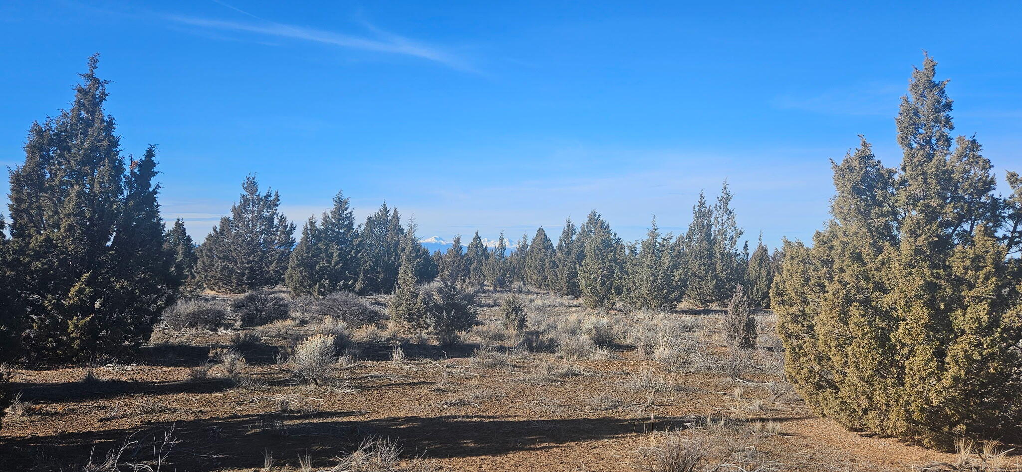 Juniper Acres - Land