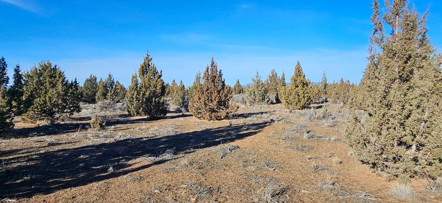 Escape the noise and reconnect with nature on this 10 acre parcel in Juniper Acres, Prineville, Oregon. Located on the corner of S Bend Way and SW Myrtlewood Ln., this property offers easy access while still feeling wonderfully remote. Zoned EFUJA (Exclusive Farm Use- Juniper Acres), the land is recreational use only, making it an ideal spot for weekend getaways, camping under the stars, stargazing, or simply enjoying the wide-open High Desert landscape. Bring your RV, set up a tent, and unwind in the peace and quiet of Central Oregon. With expansive views, open space, and endless skies, this property is perfect for those looking to unplug and enjoy the outdoors. Whether you're seeking a private retreat, a base camp for adventures, or a long term recreational hold, this Juniper Acres parcel delivers space, solitude, and simplicity.