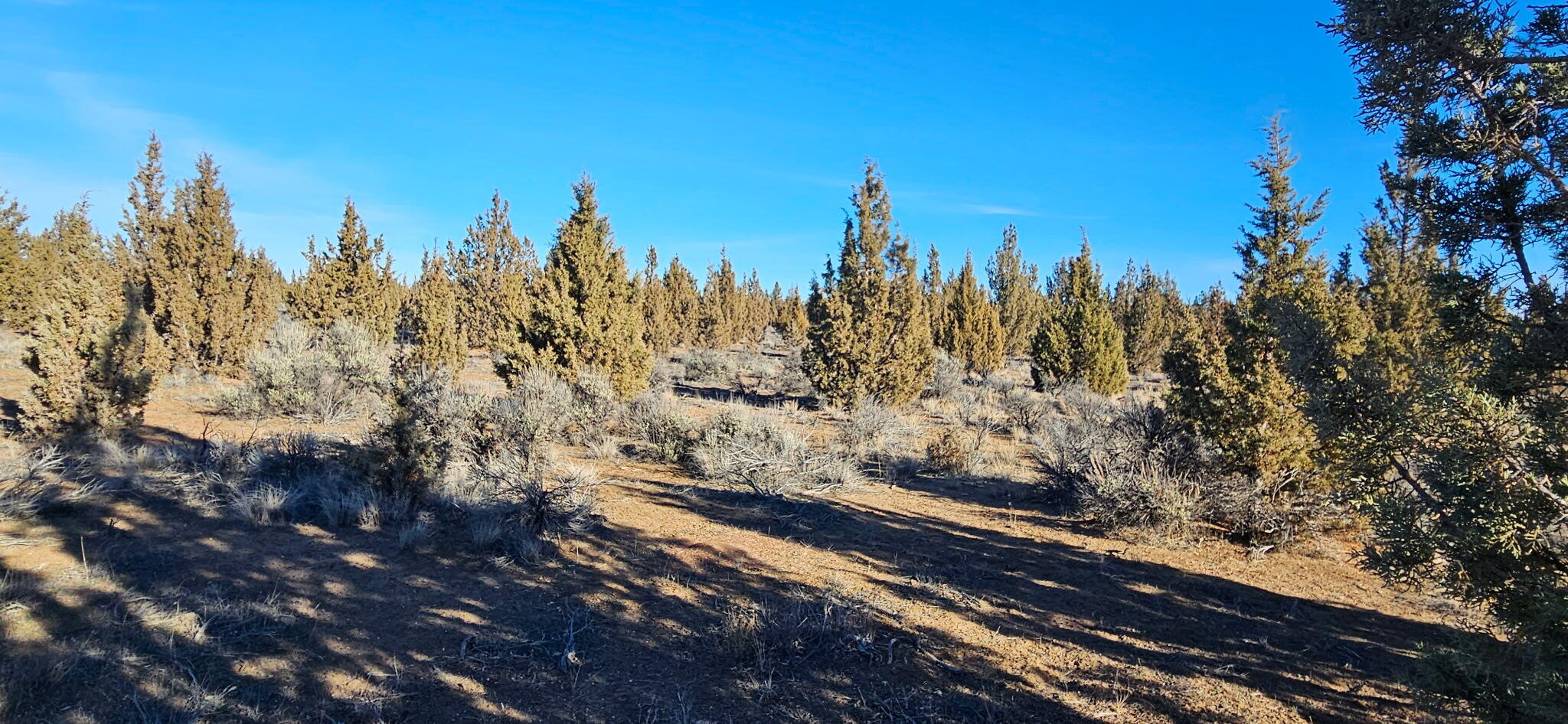 Juniper Acres - Land