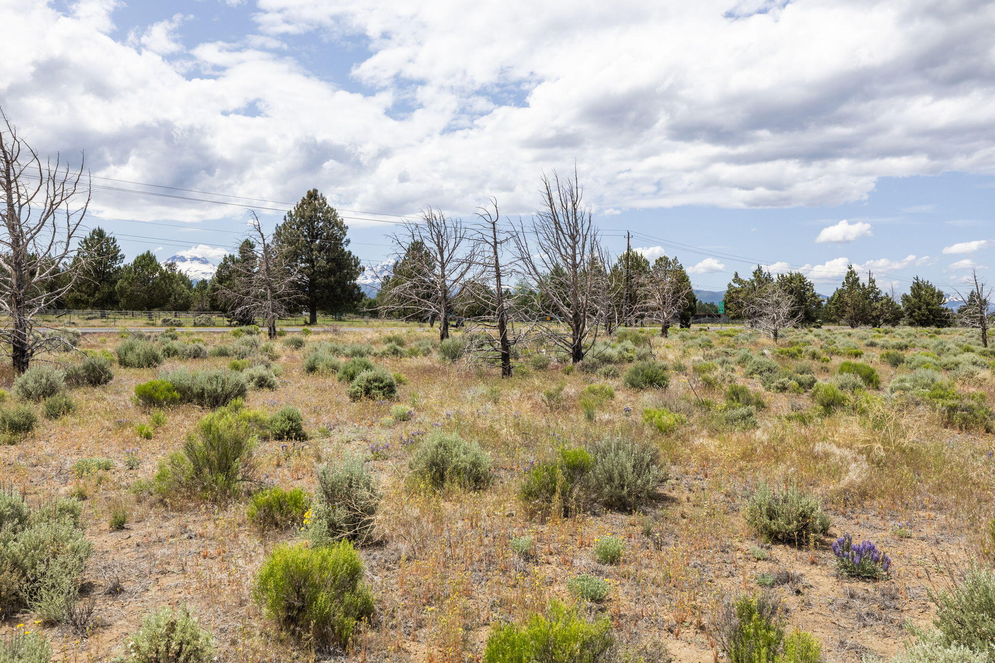 Double R Estates - Land