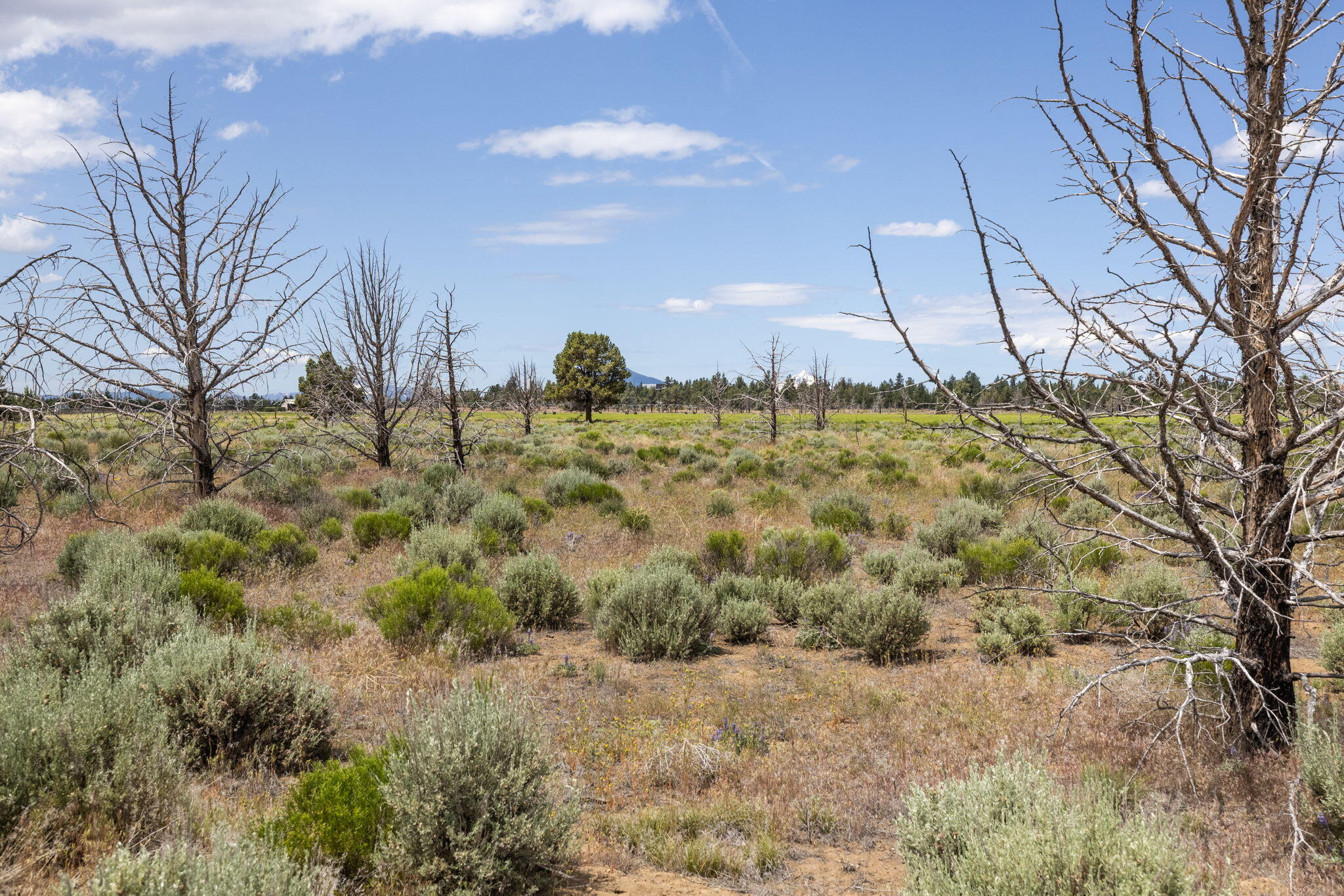 Double R Estates - Land