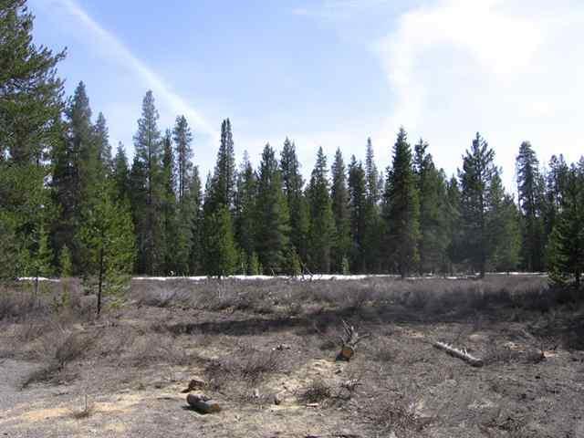 Chiloquin - Land