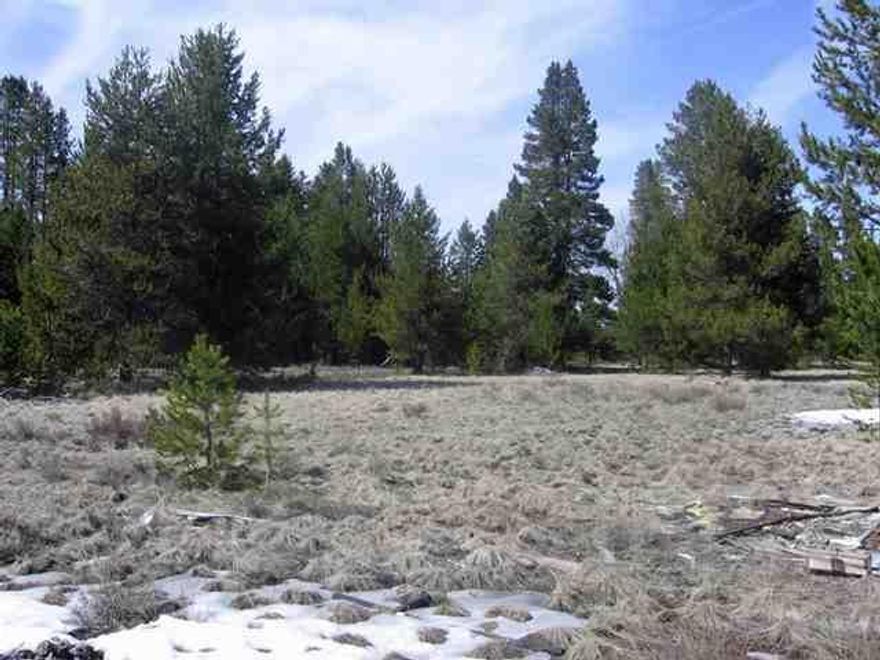 Wow! 16+ Acres With Legal Access, Well & Septic In Prime Hunting And Fishing Territory! This Is A Level Parcel With A Great View Of Mt. Scott. Power Is To The Property. Perfect For That Summer Home Or Year-around Living. Miles And Miles Of Groomed Snowmobile Trails Right To Your Driveway! At The Foot Of Crater Lake National Park.
