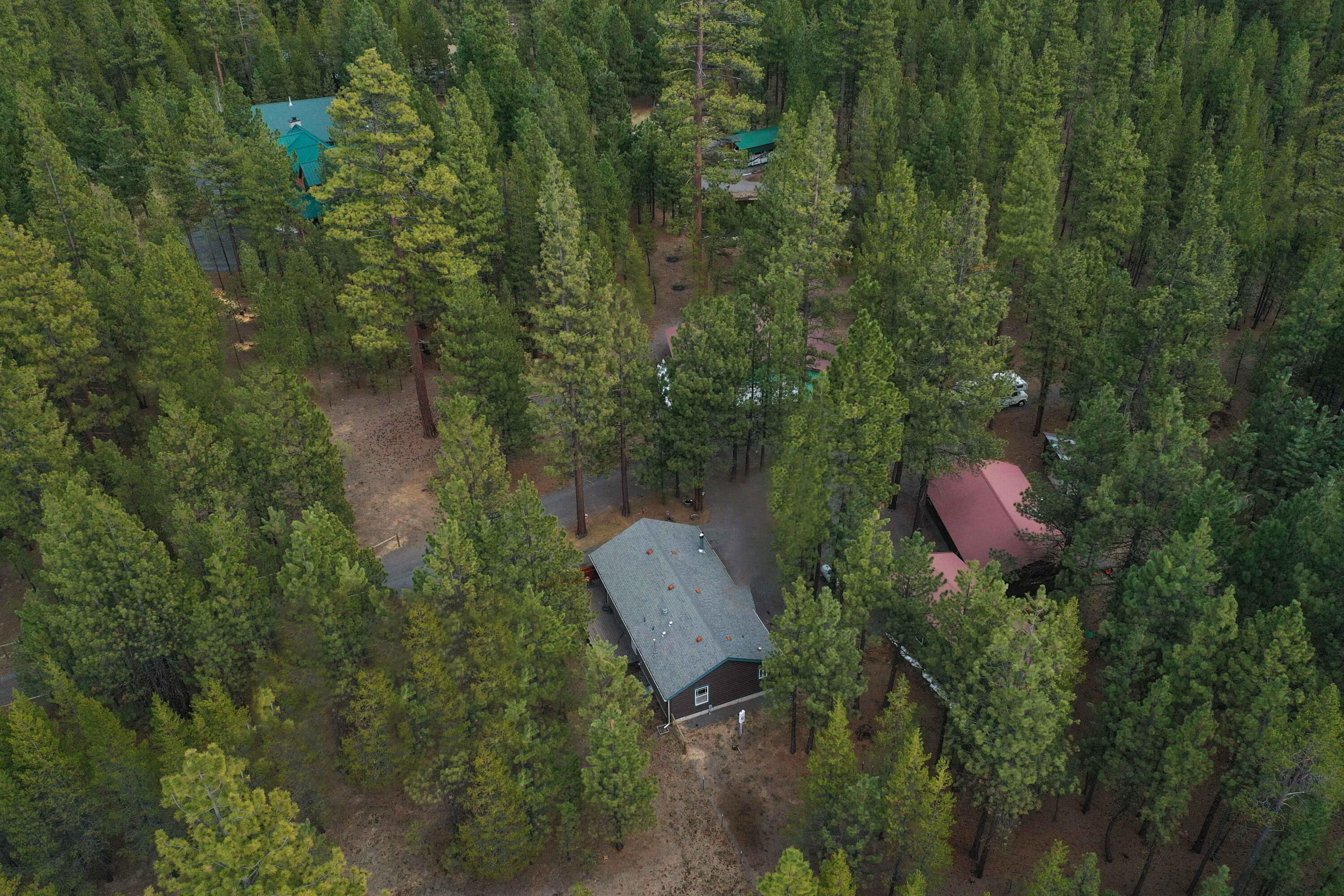 Ponderosa Pines - Residential