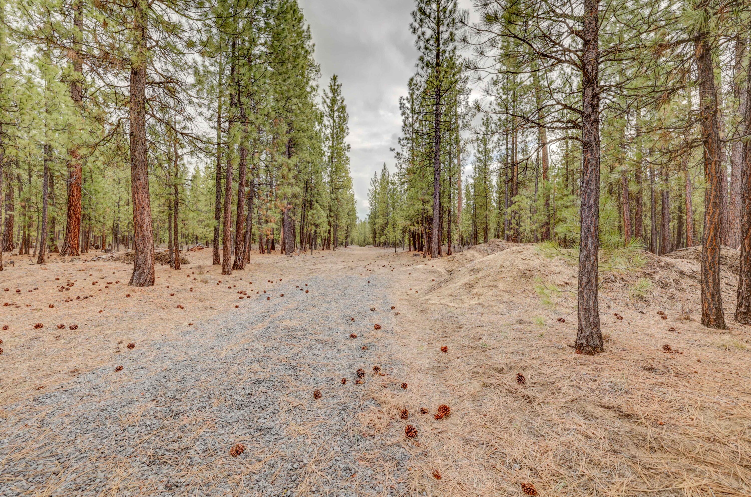 Ponderosa Pines - Residential