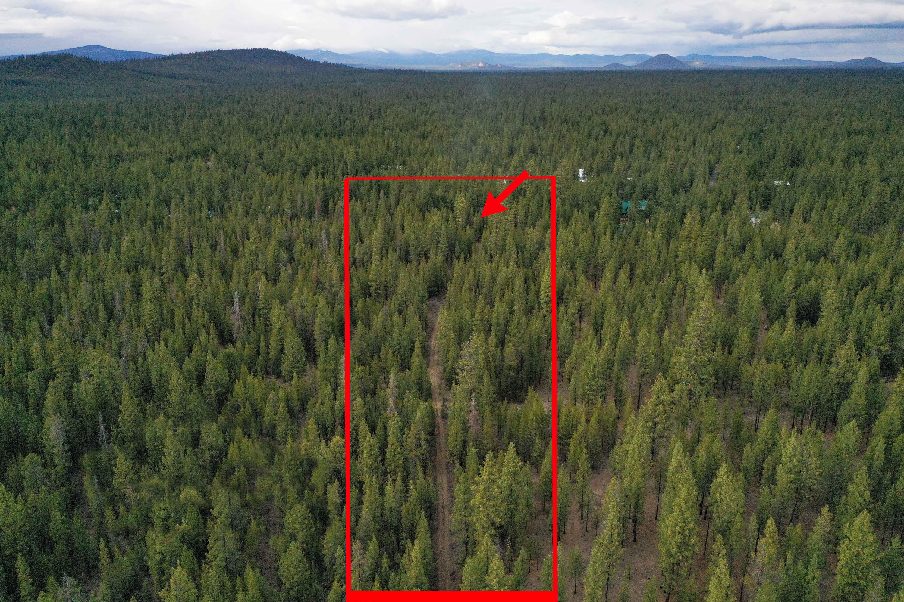 Ponderosa Pines - Residential