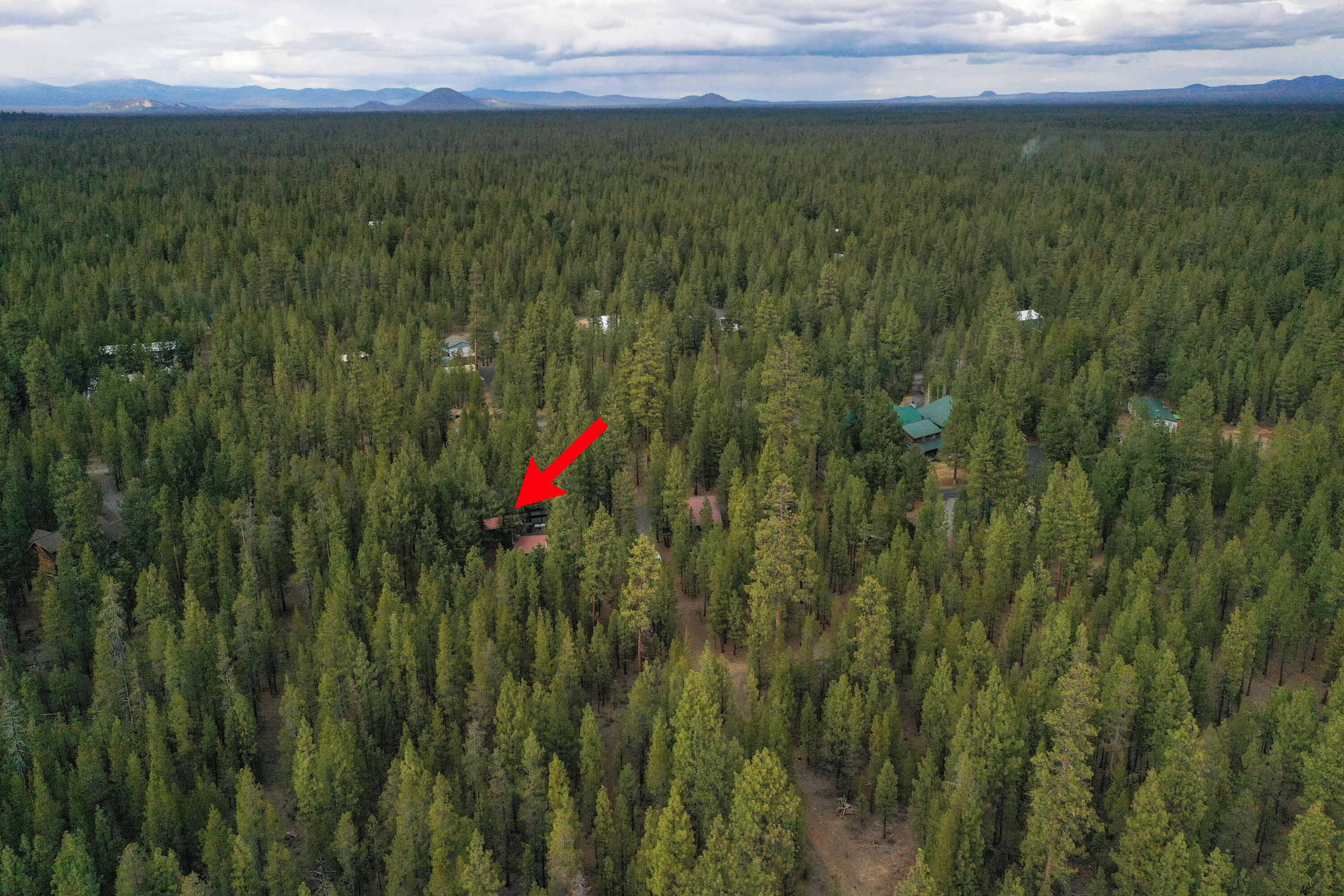 Ponderosa Pines - Residential