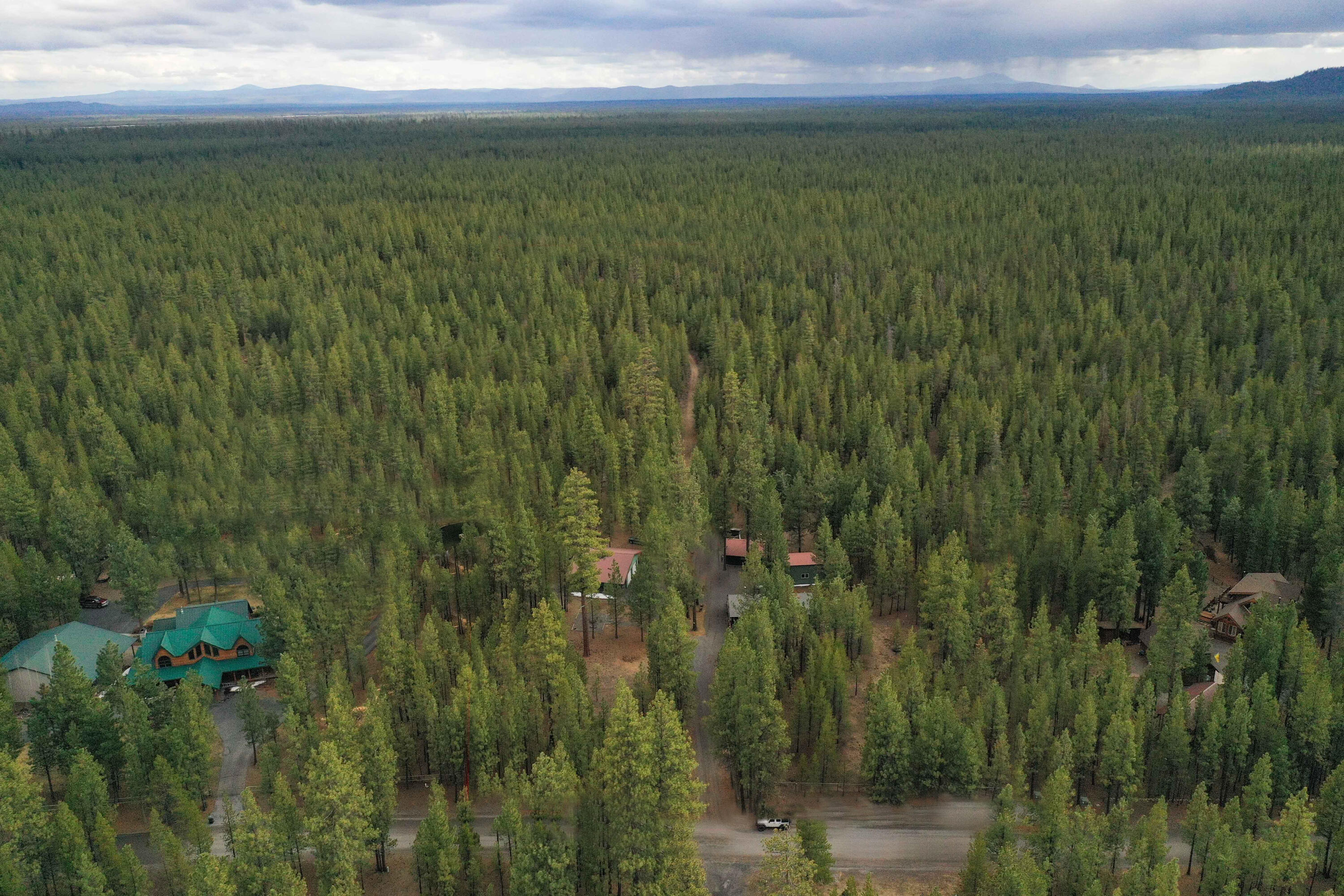 Ponderosa Pines - Residential