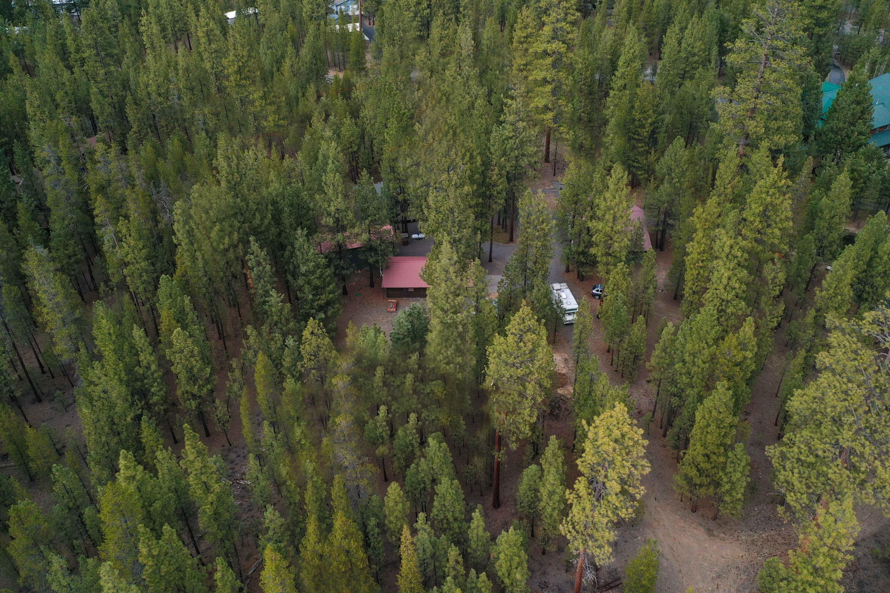 Ponderosa Pines - Residential