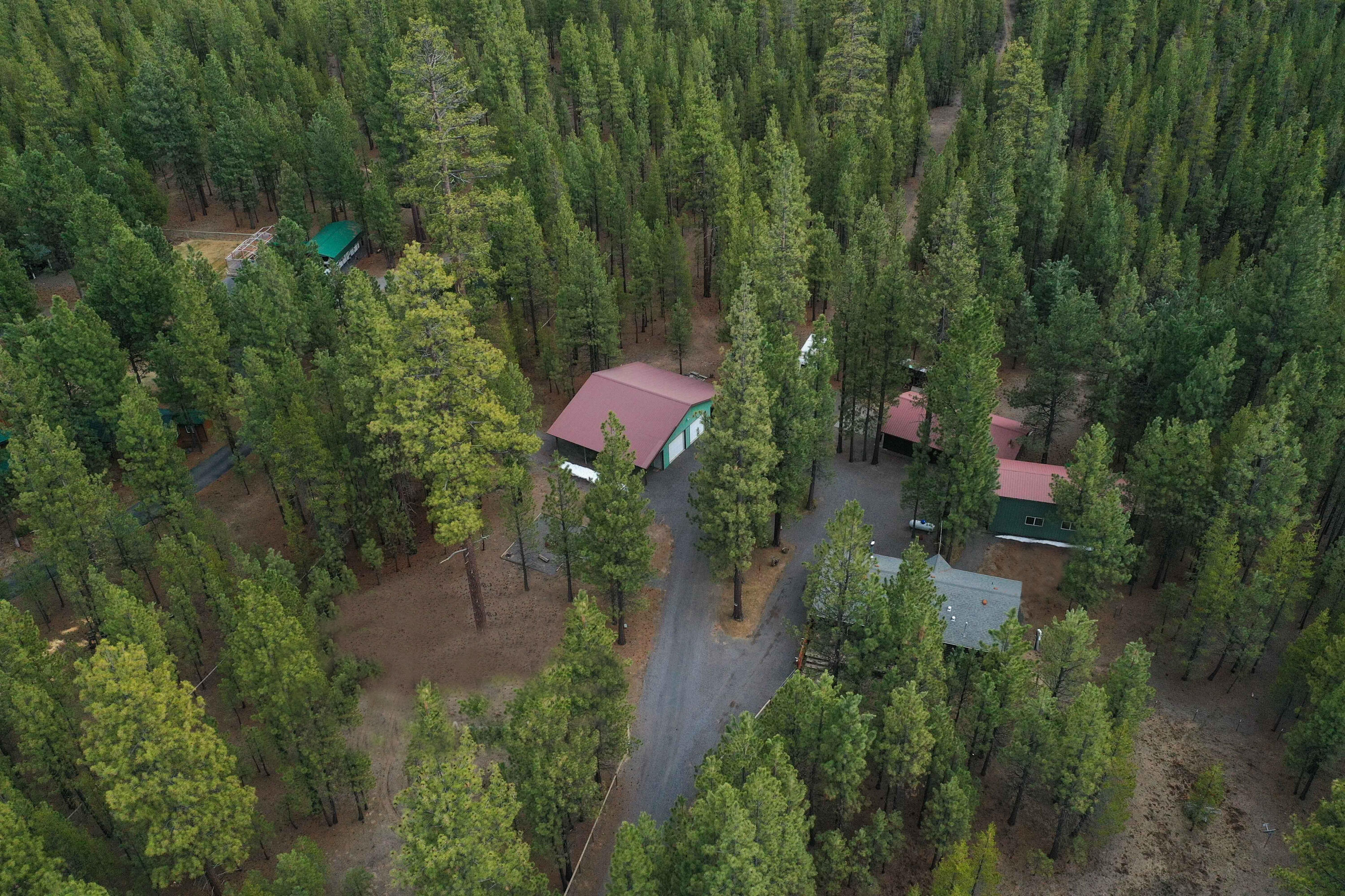 Ponderosa Pines - Residential