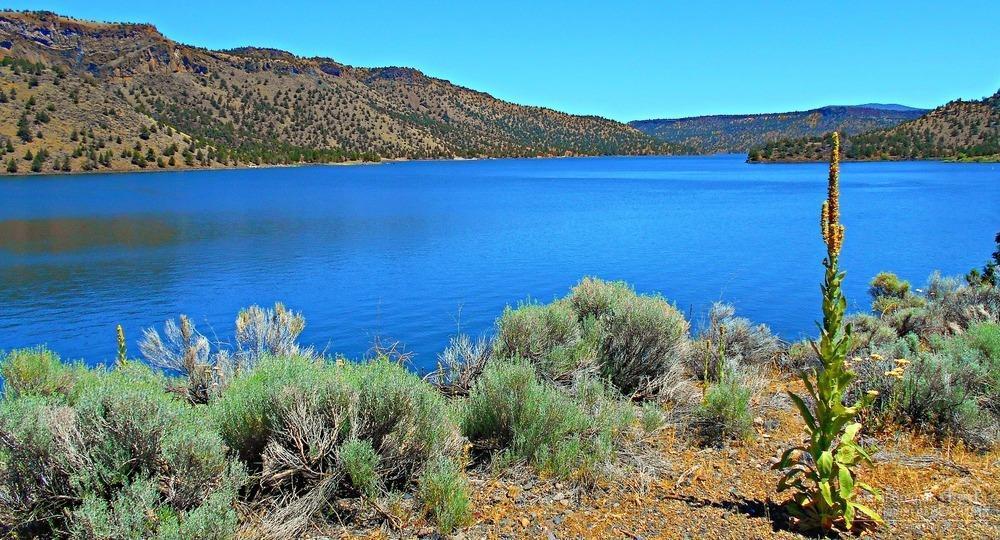 Scenic Vista Estates - Land