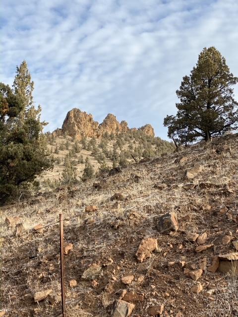 Juniper Hills - Residential