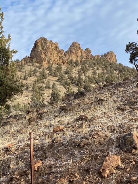 Juniper Hills - Residential