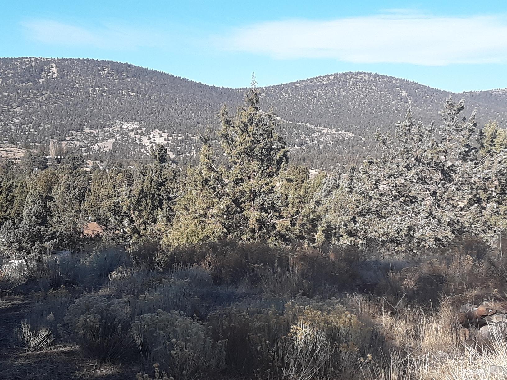 Juniper Hills - Residential