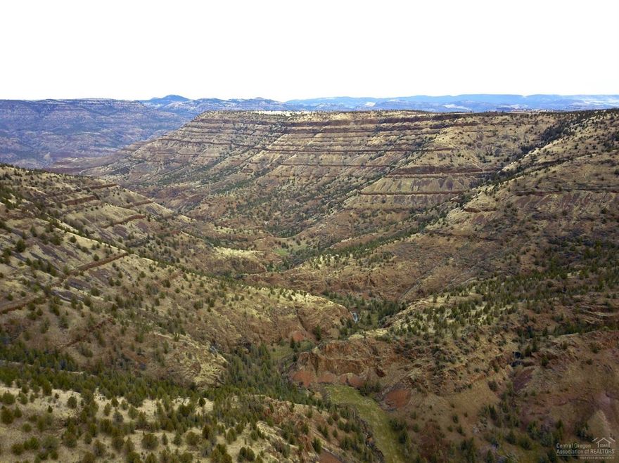 1398 acres bordered by BLM ground and the John Day River. This parcel is made up of two tax lots and is located off Hwy 207, about 8 miles south of Service Creek.This beautiful piece of property is mainly juniper and sage brush country with Large Rocky Mtn. Bull Elk and Big Trophy Mule Deer hunting as well as great opportunity for upland birds. Property owners would receive 3 Rocky Mountain Elk bull or cow tags, and 3 buck Mule Deer tags for the Fossil Unit