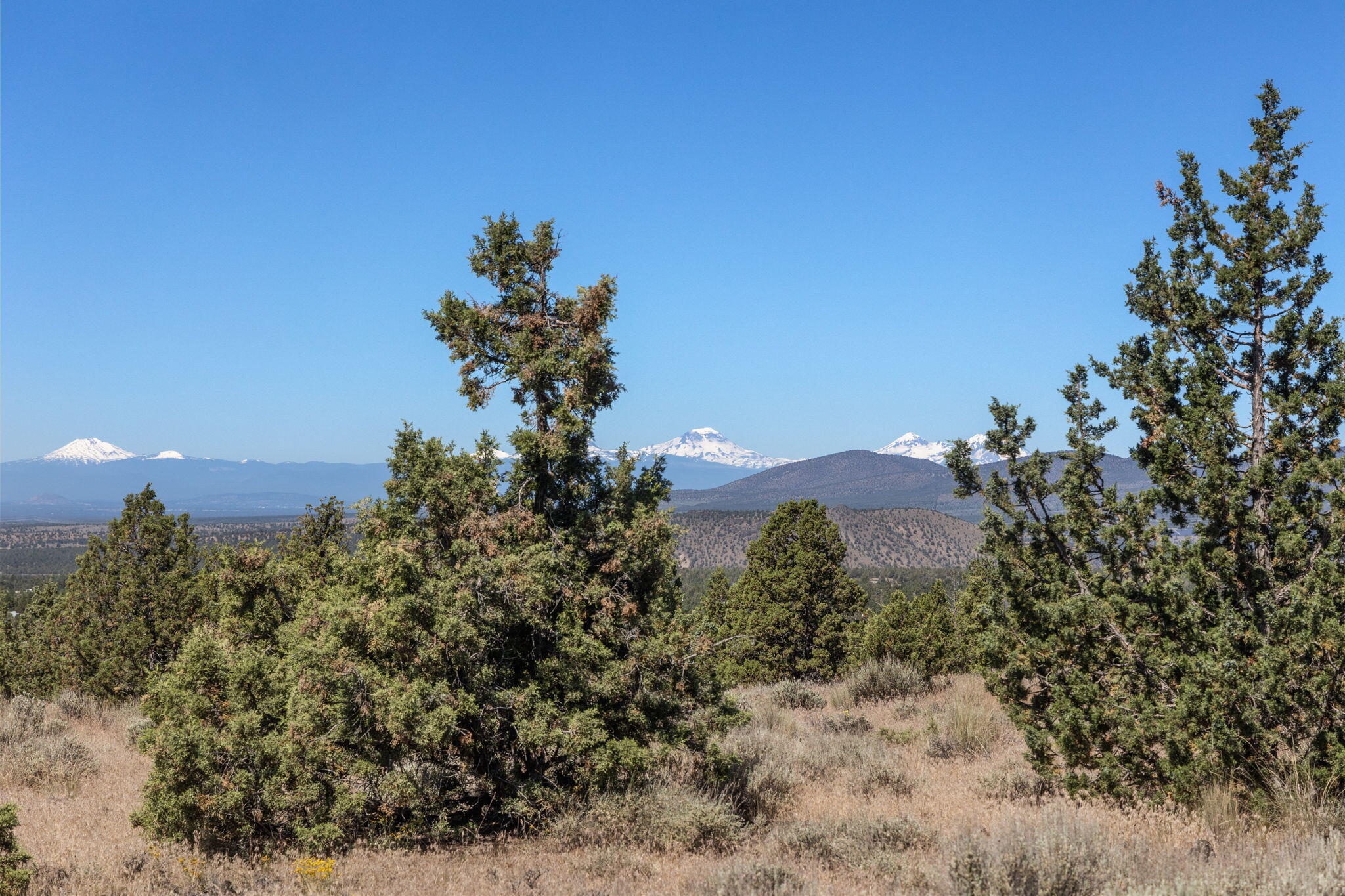 Prineville Lake Acres 1 - Land