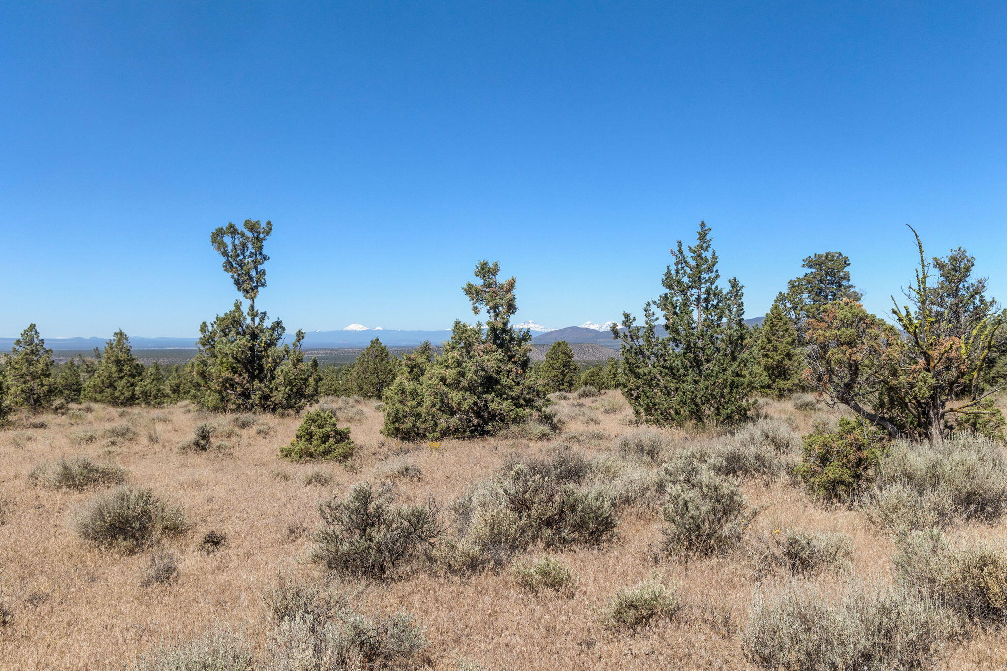 Prineville Lake Acres 1 - Land