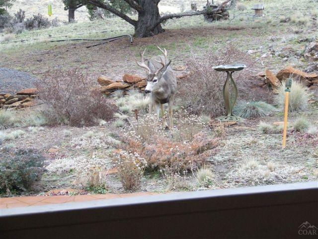 Meadow Ridge - Residential