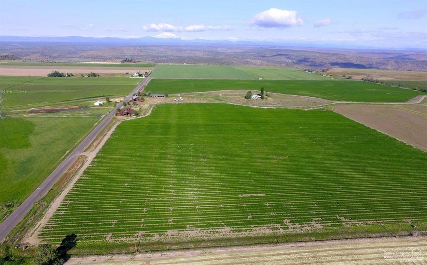 This Rim Front Farm has unobstructed 360 degree views that includes the Cascade Mts. On the Deschutes River Canyon Rim, on the West side of a 260 ac farm (in farm deferral) near Madras, Or.(206 irrig. from NUID). Property includes 3495 sf residence with unfinished basement, 9900 sf GP building, 2400 sf machine shed, 8100 sf loft barn, 1680 sf barn, 3 grain bins, chicken coop, ground leased through 2018 harvest. Local GA airport is approx. 5 miles away and business jet friendly.