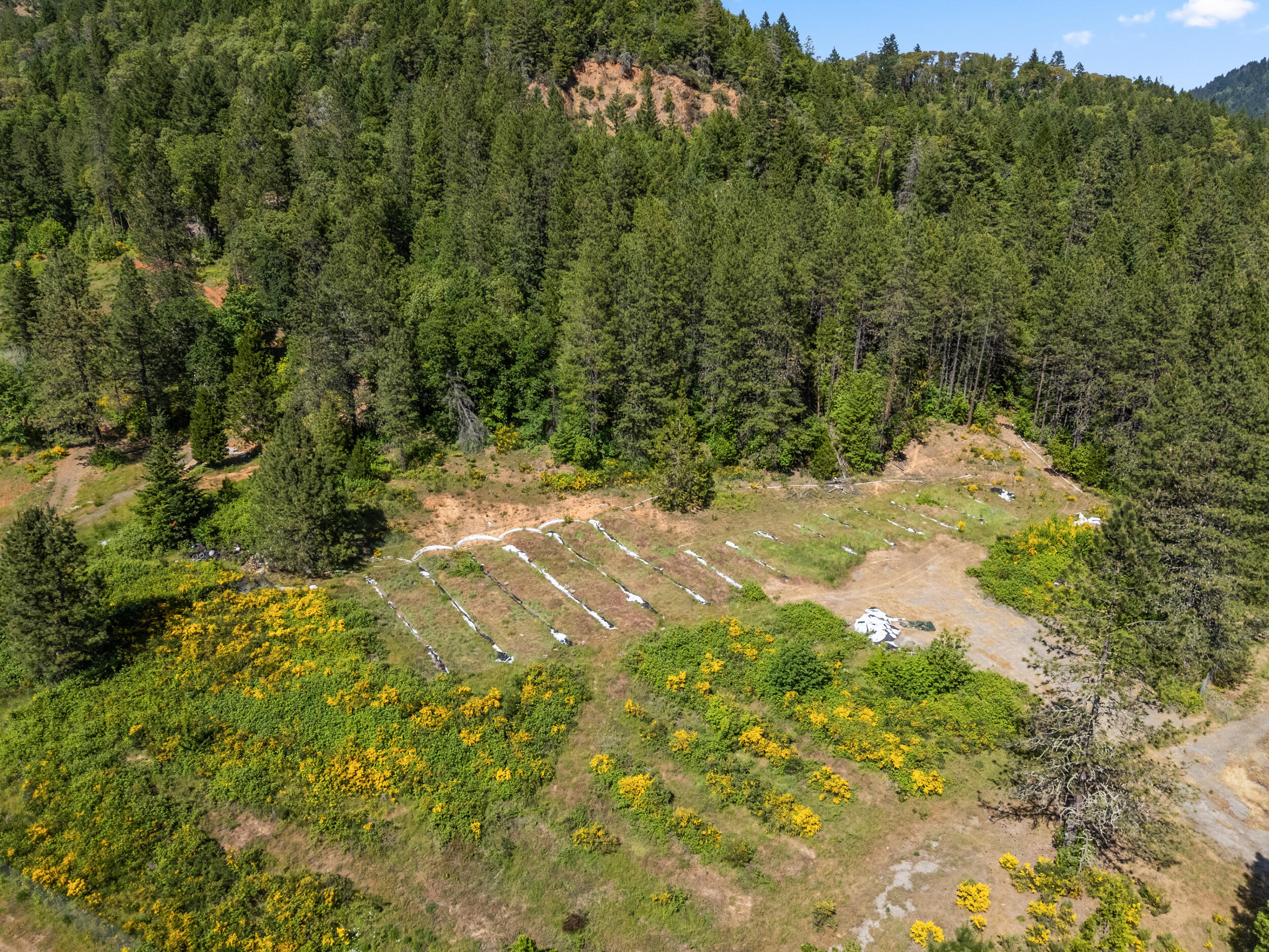 Wolf Creek Orchard Tracts - Commercial Sale