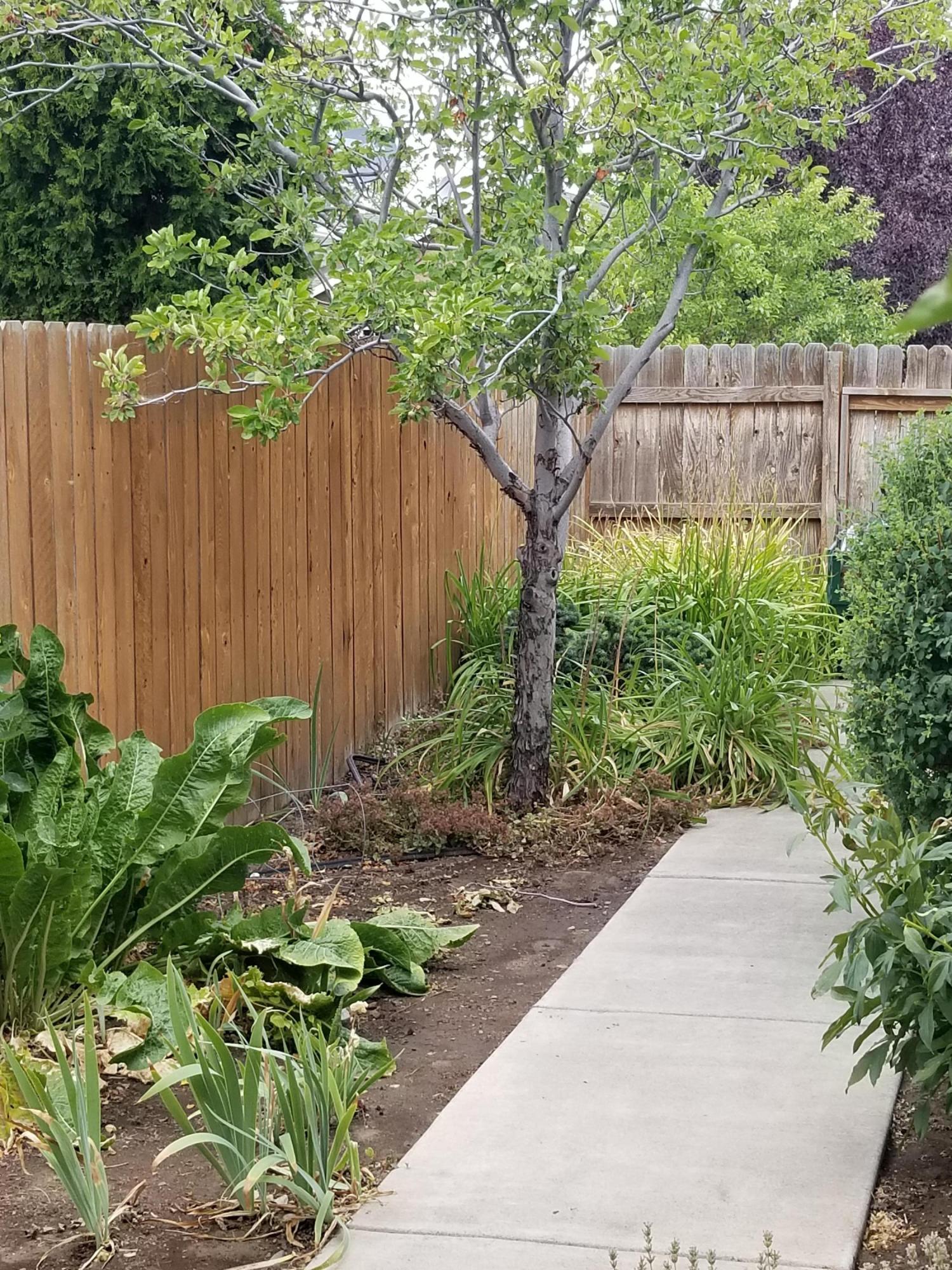 Stoneridge Terrace - Residential