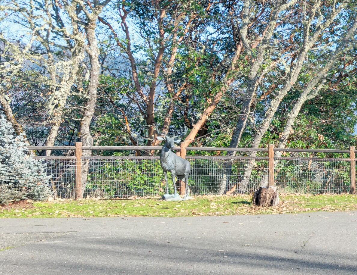 Fir Crest Estates - Residential