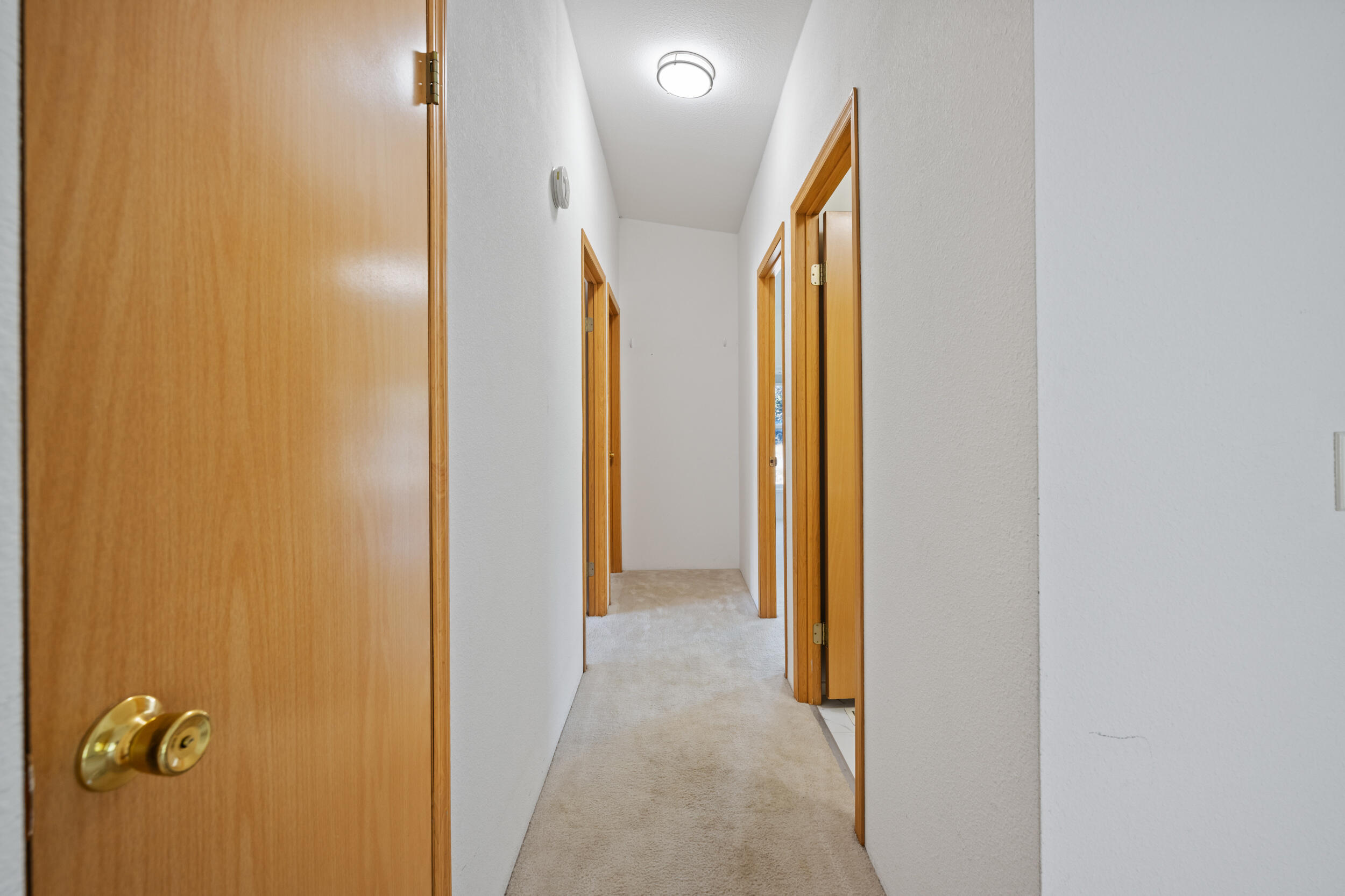 Los Pinos - Residential