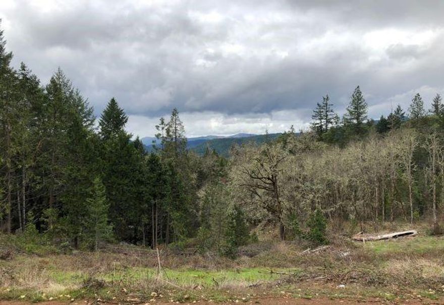 Privacy on 40.93 acres, just north of Grants Pass. Power is close but not to the property. There are trails throughout the acreage and the property is bordered on 2 sides by the BLM. Shared well with the neighbor. Amazing views from the ridge tops and the seller says there are ponds and springs also. Now is the time to look and begin designing your home. Priced right to close quickly. All information deemed reliable but not guaranteed. Buyers to do their own due diligence regarding use of property.