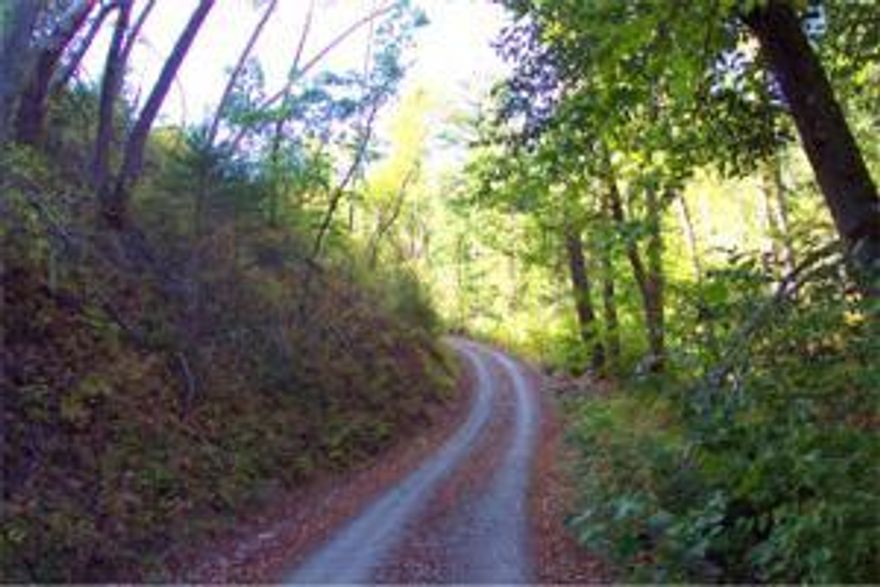 Enjoy the peace & quiet of end-of-the-road seclusion just 4 miles (approx) from Jacksonville. 40 wooded acres with cut pad, seasonal stream & abundant wildlife. excellent graveled road to site. Adjoins USA land.