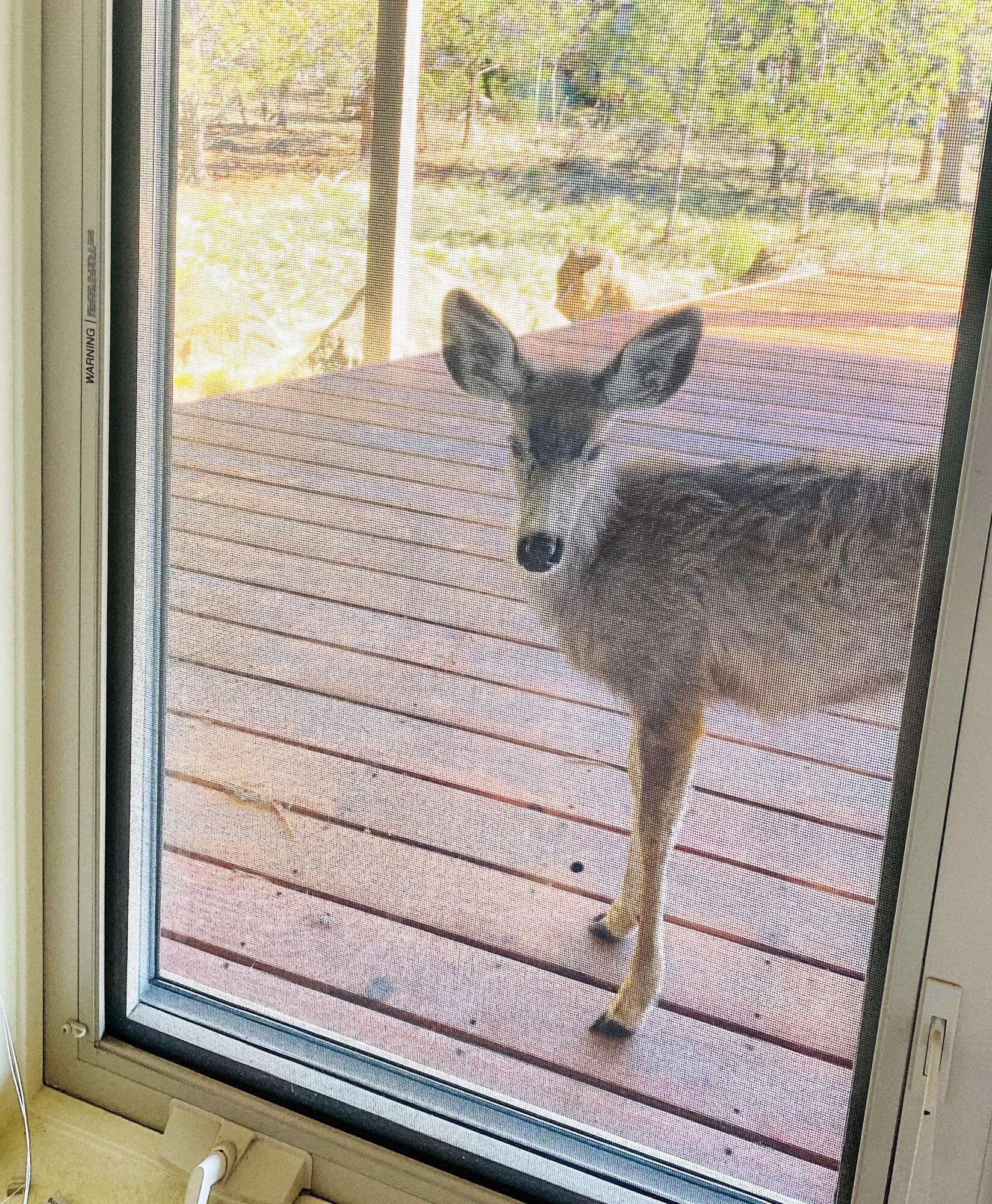 City View - Residential