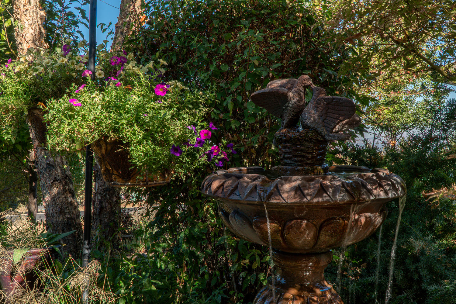 Eagle Crest - Residential