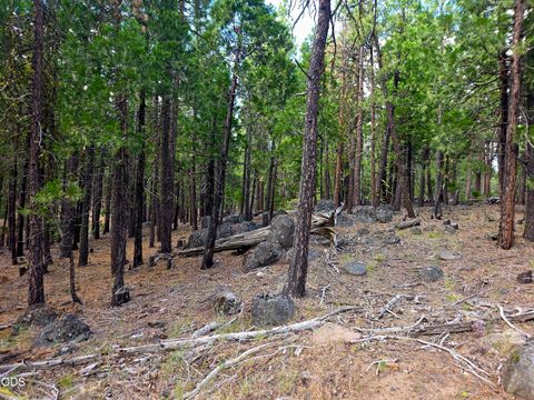 Tiny photo for 31276 Seal Lane, Bonanza, OR 97623 (MLS # 220224566)
